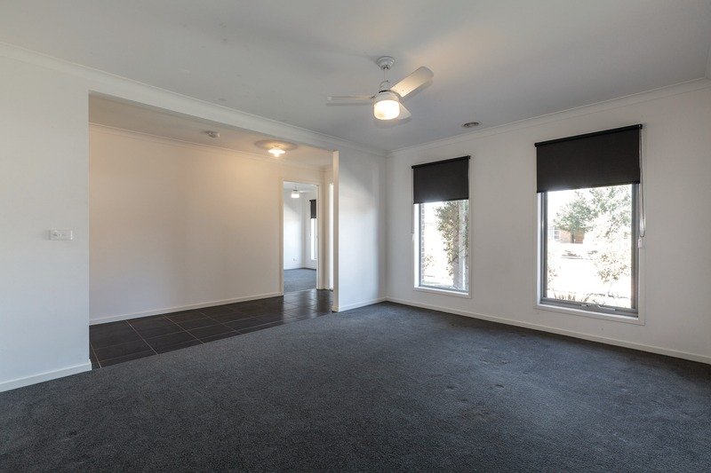 Gallery: 33 Cuzens Road