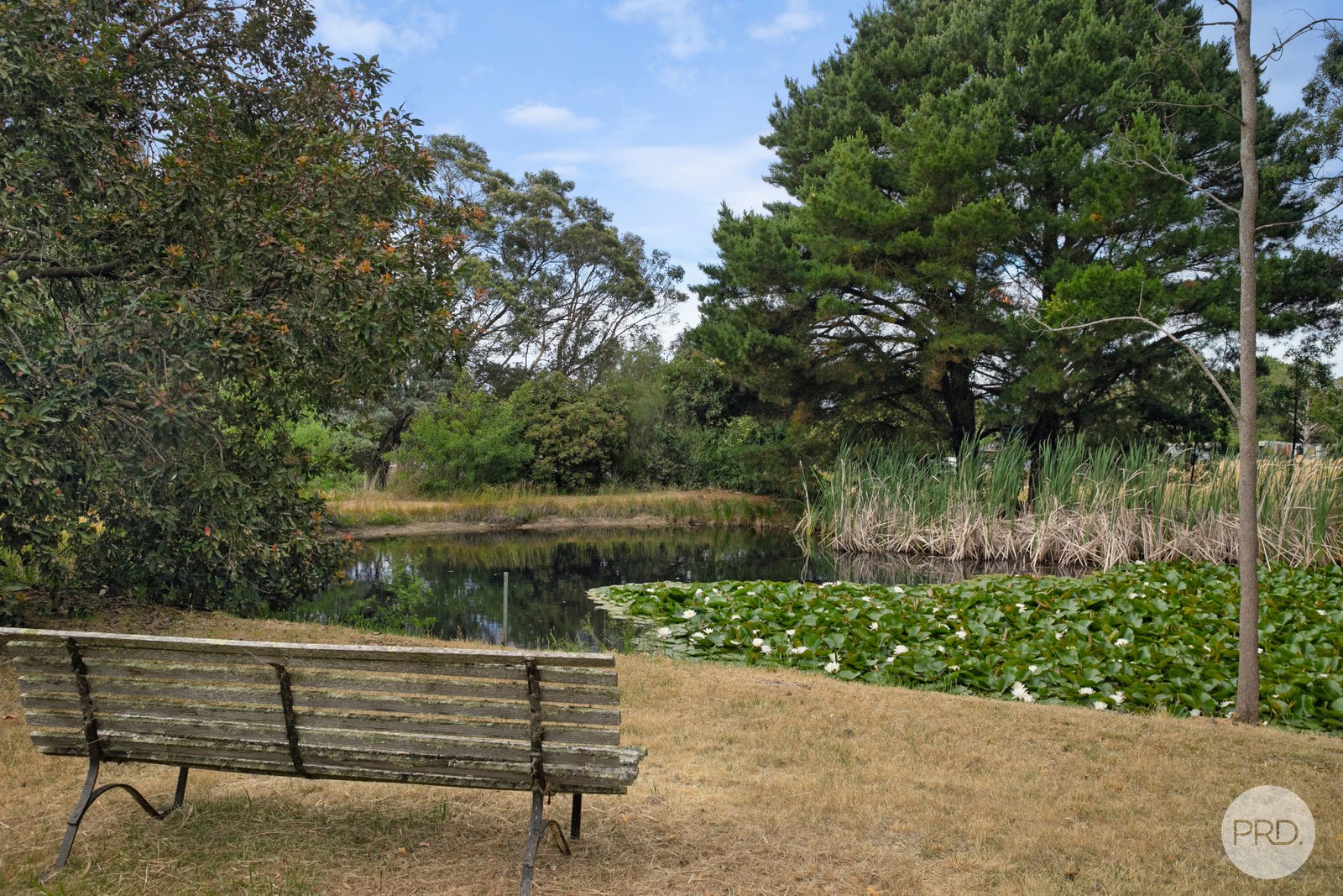 33 Gilday Court HADDON 15