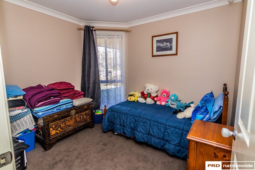 33 Janelle Street TAMWORTH 17