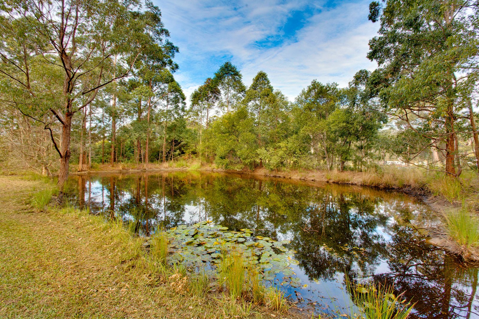 33 Johns River Road JOHNS RIVER NSW 2443