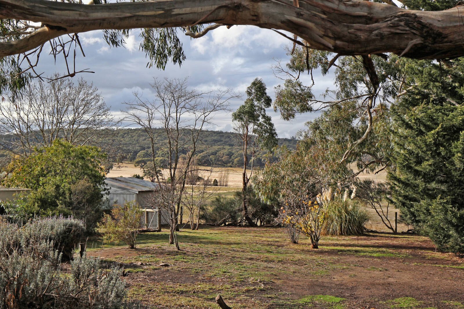 Real Estate and Property in 33 Laing Lane, Goldie, VIC