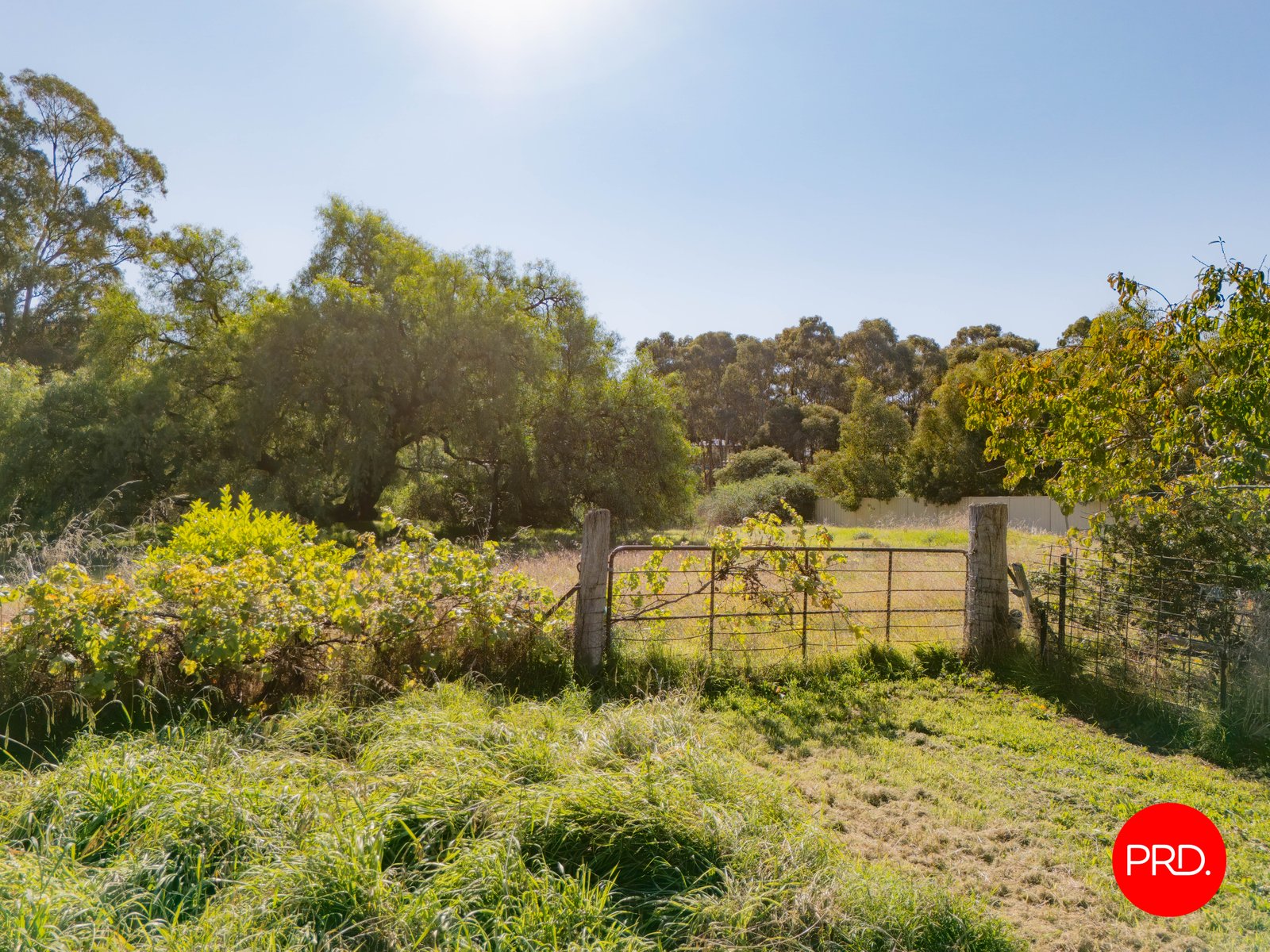 33 Lethebys Road SAILORS GULLY 23