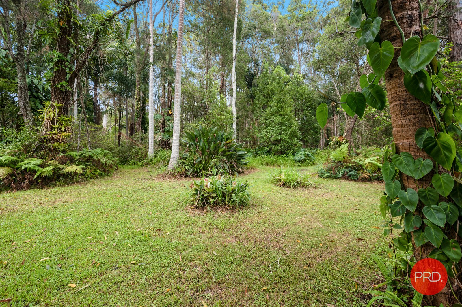 33 Lindsays Road BOAMBEE 23