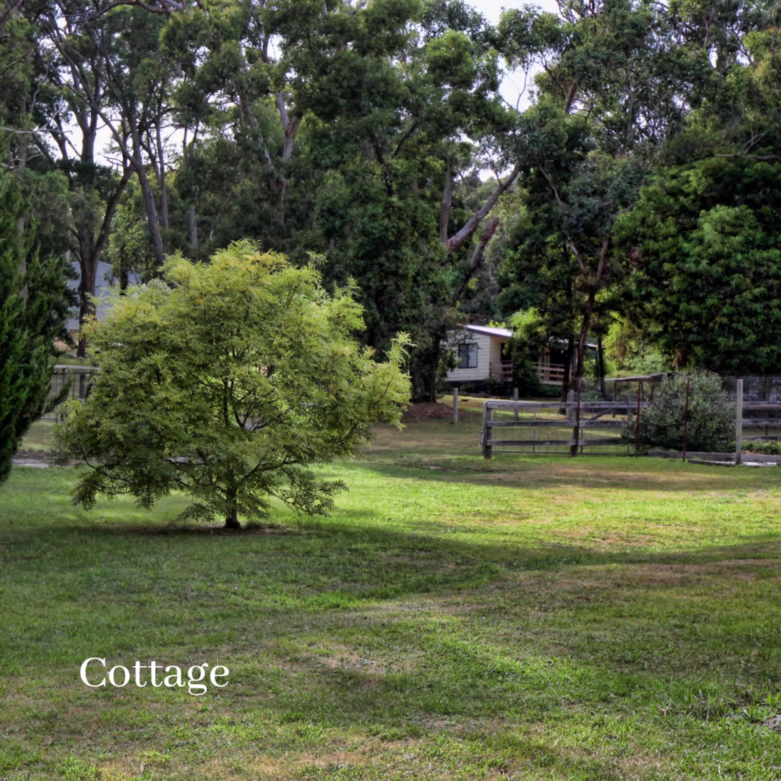 Real Estate and Property in 33 Lowry Drive, Woodend, VIC