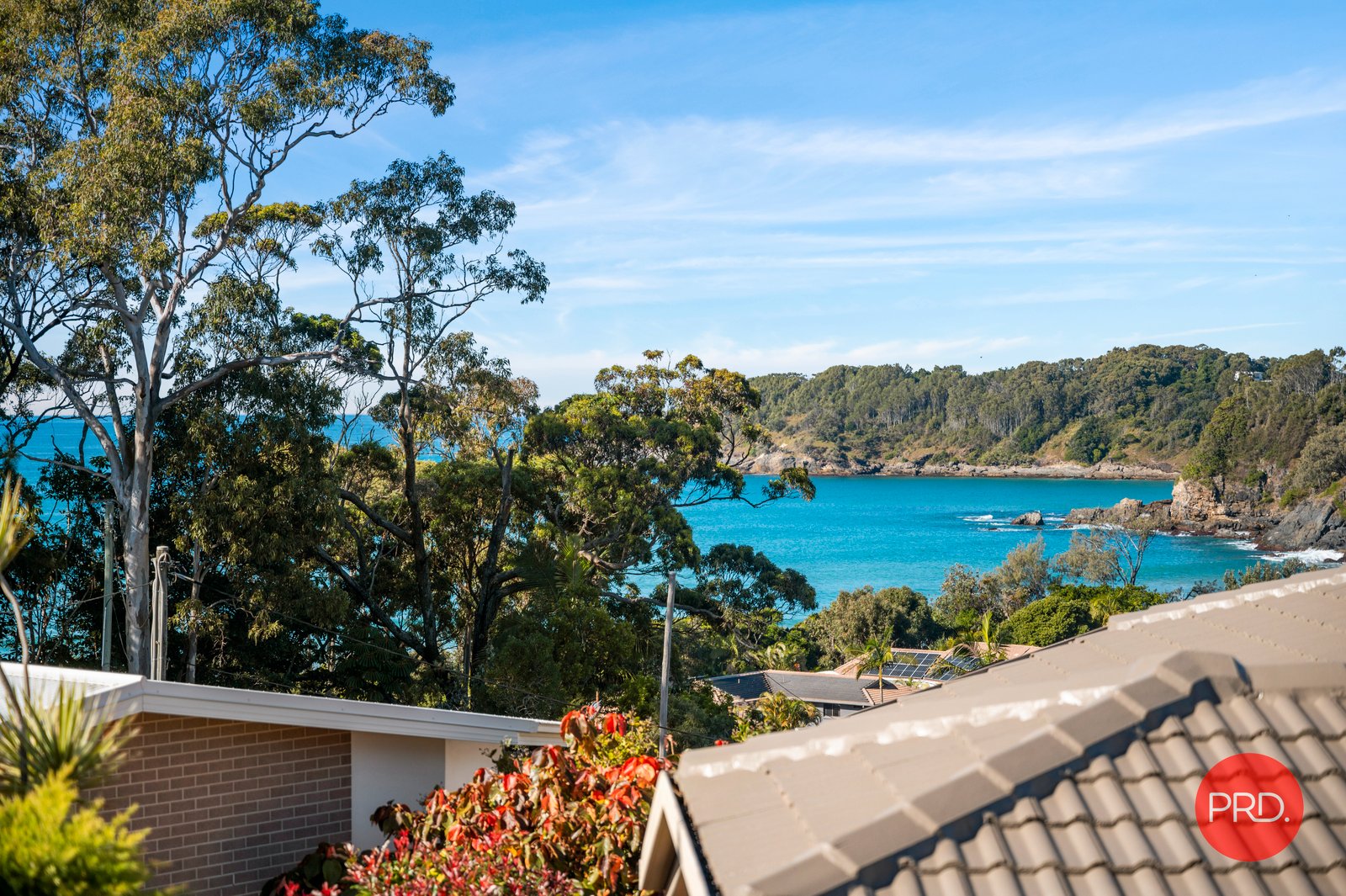 3/3 Miranda Place KORORA 8