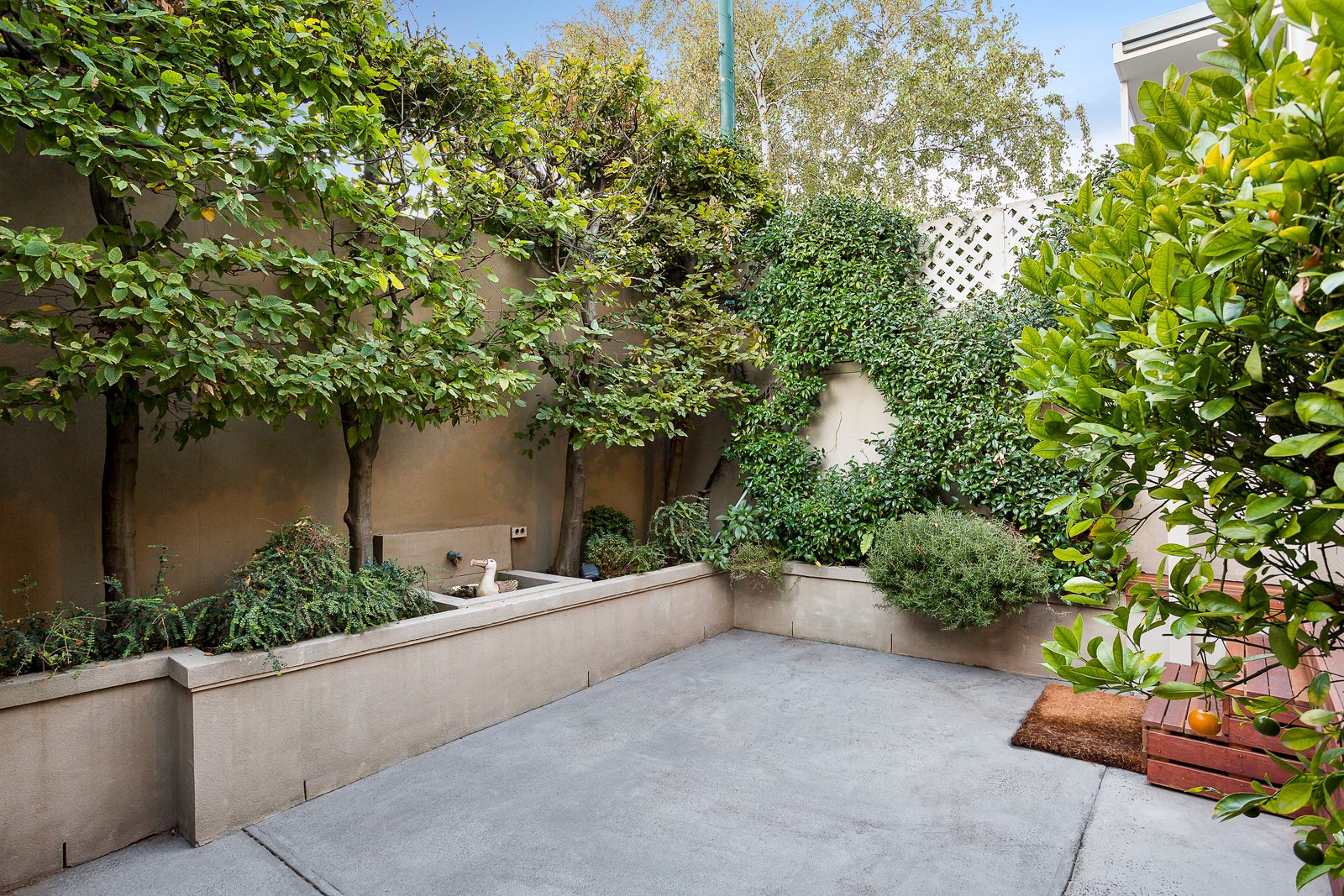 Real Estate and Property in 33 Molesworth Street, Prahran, VIC