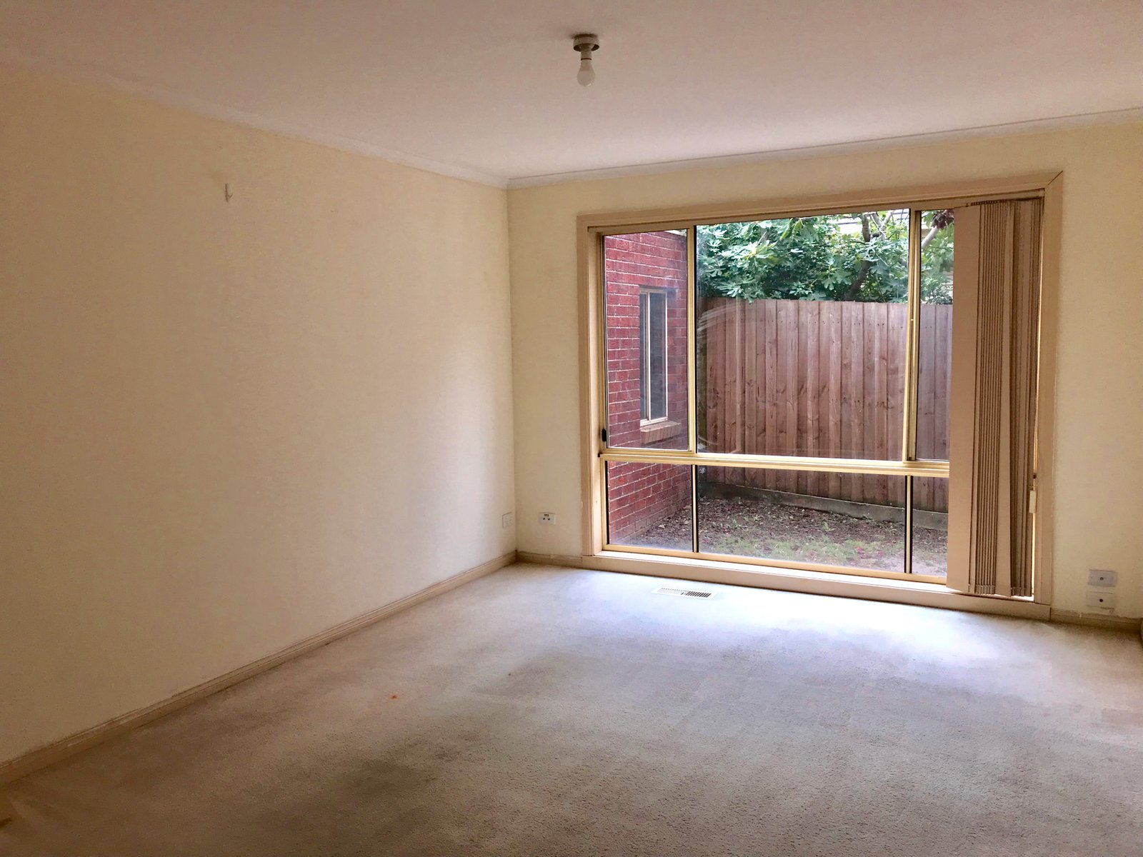 Gallery: 3/3 Morton Street