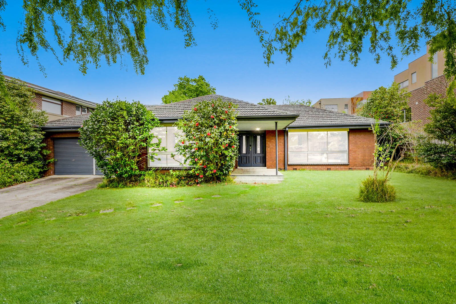 33 Moselle Street, Mont Albert North VIC 3129 Buxton 2022