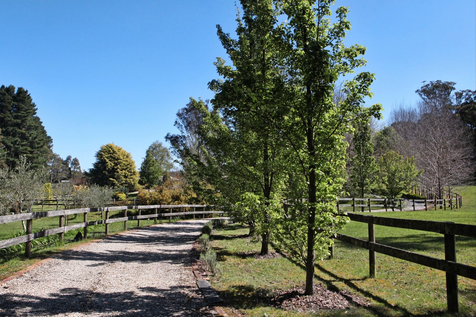 Real Estate and Property in 33 Old Calder Highway, Macedon, VIC