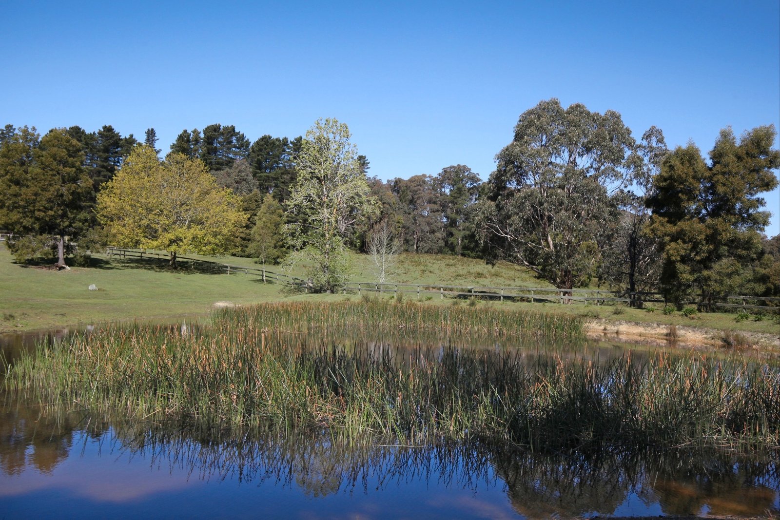 Real Estate and Property in 33 Old Calder Highway, Macedon, VIC