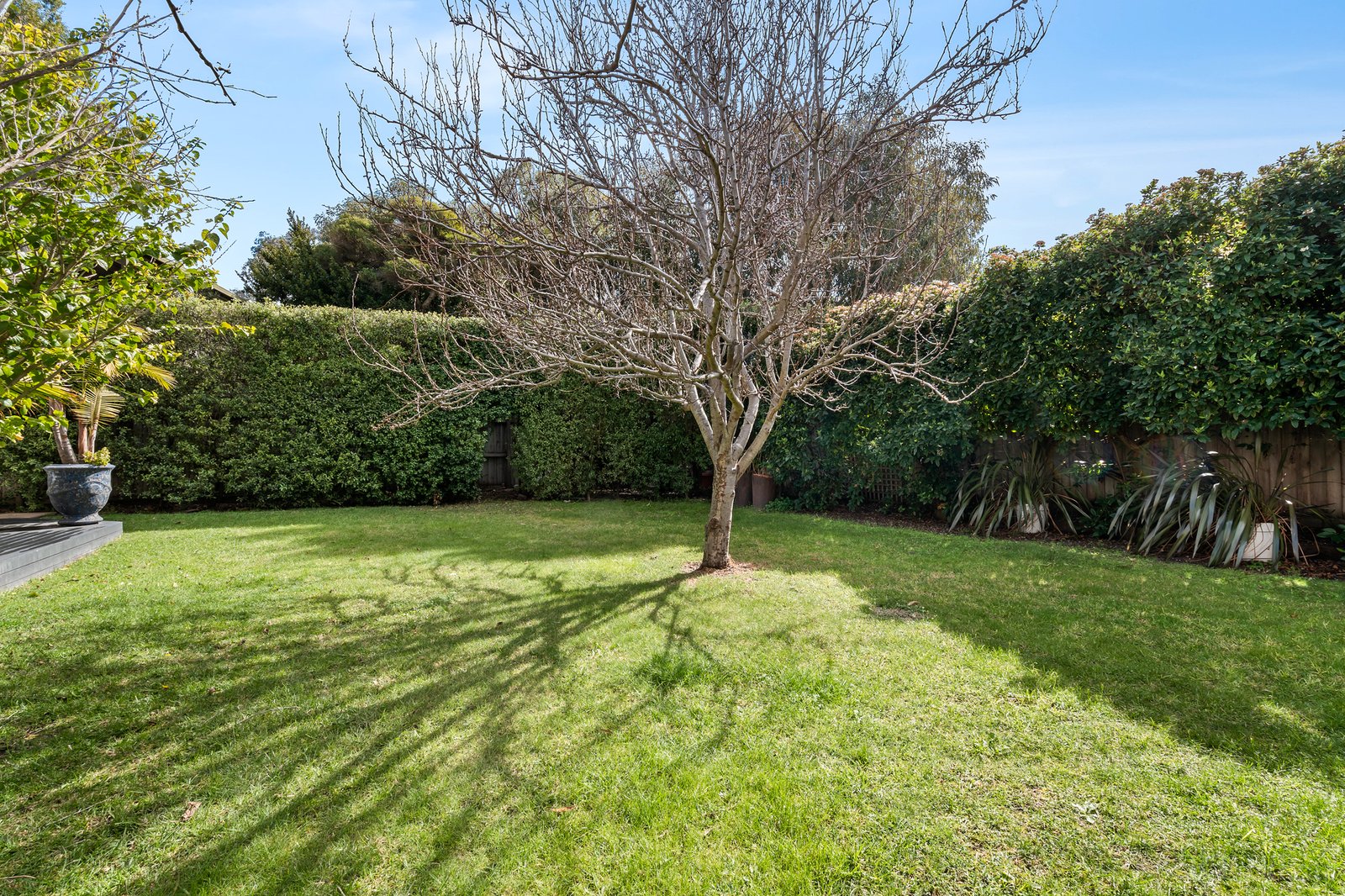 Real Estate and Property in 33 Roddick Grove, Queenscliff, VIC