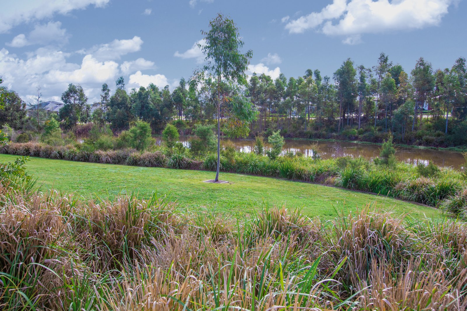 33 Seasons Circuit CHISHOLM 26