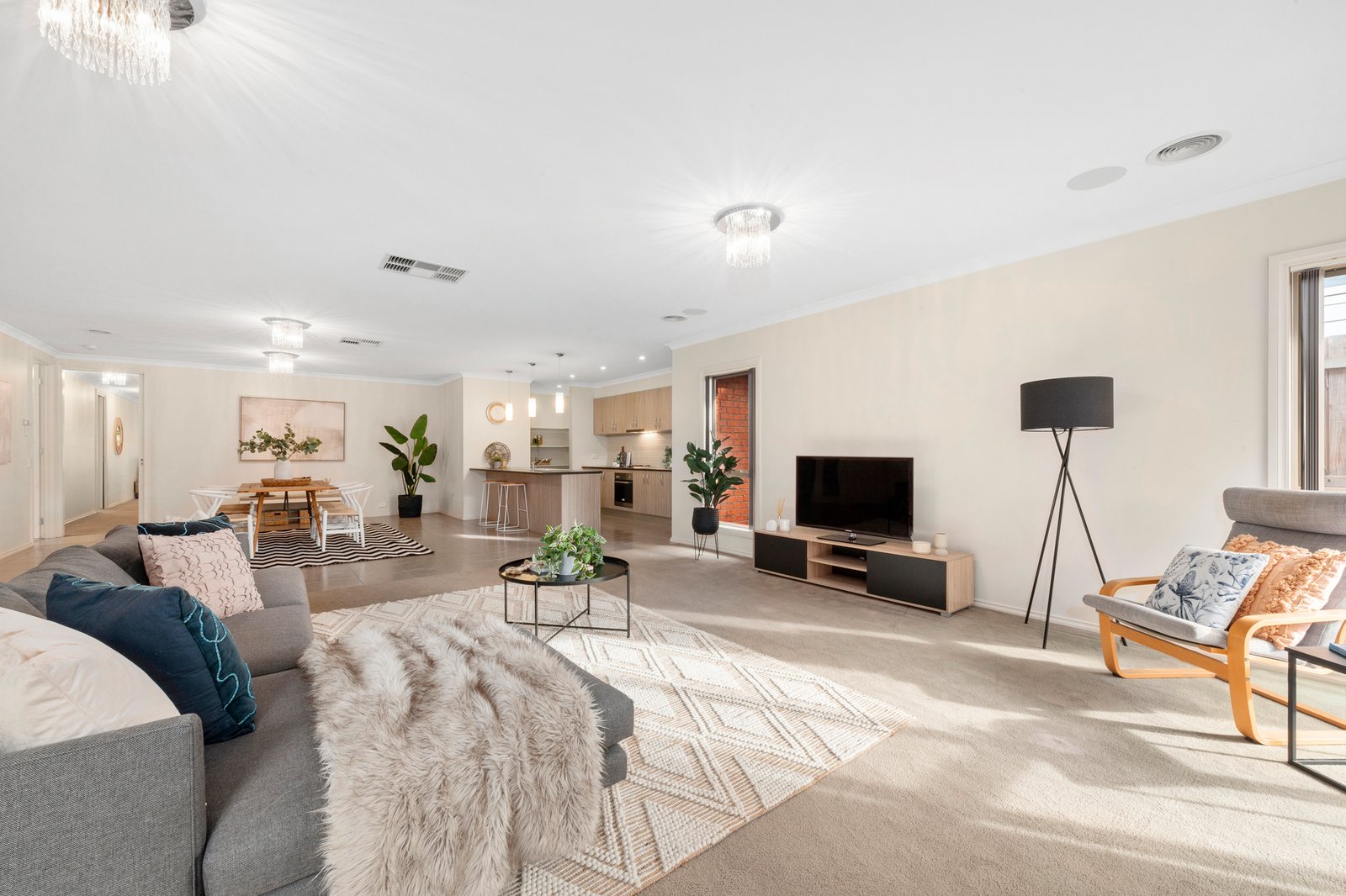 Gallery: 33 Sydenham Avenue