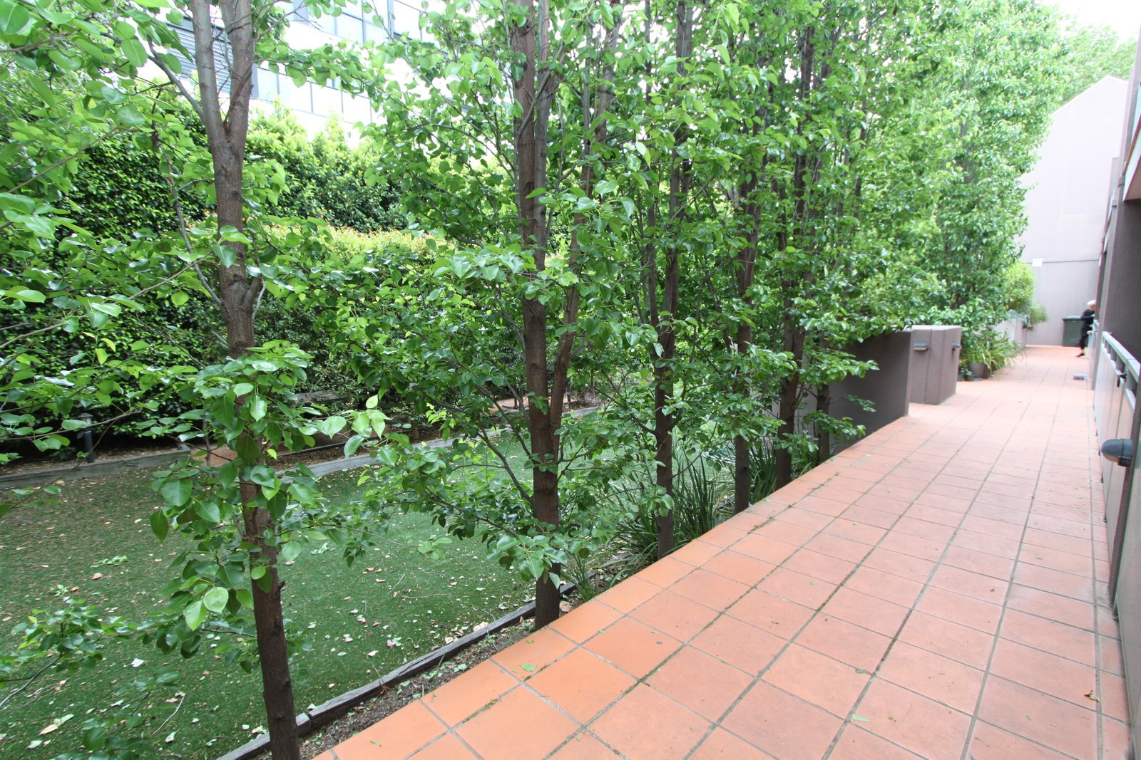 Real Estate and Property in 3/30-32 Broadway, Elwood, VIC