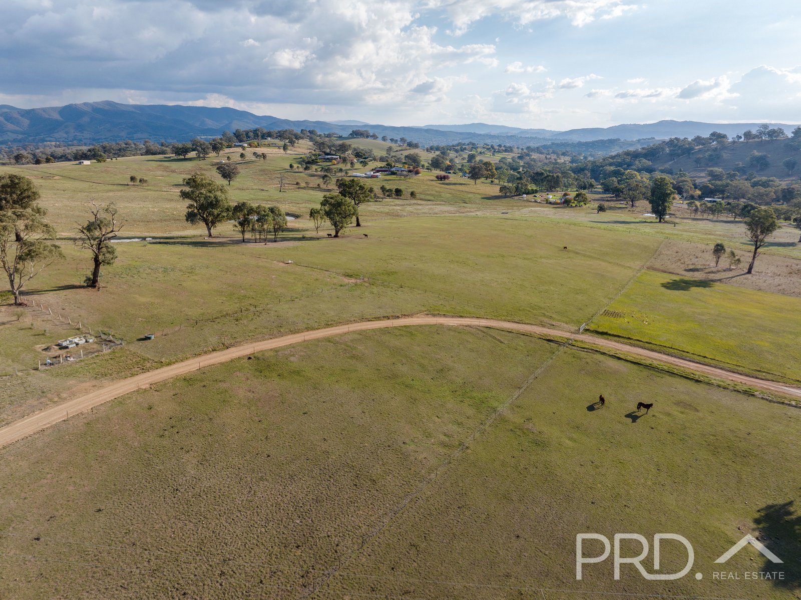 330 Morgans Reserve Road TUMUT 24