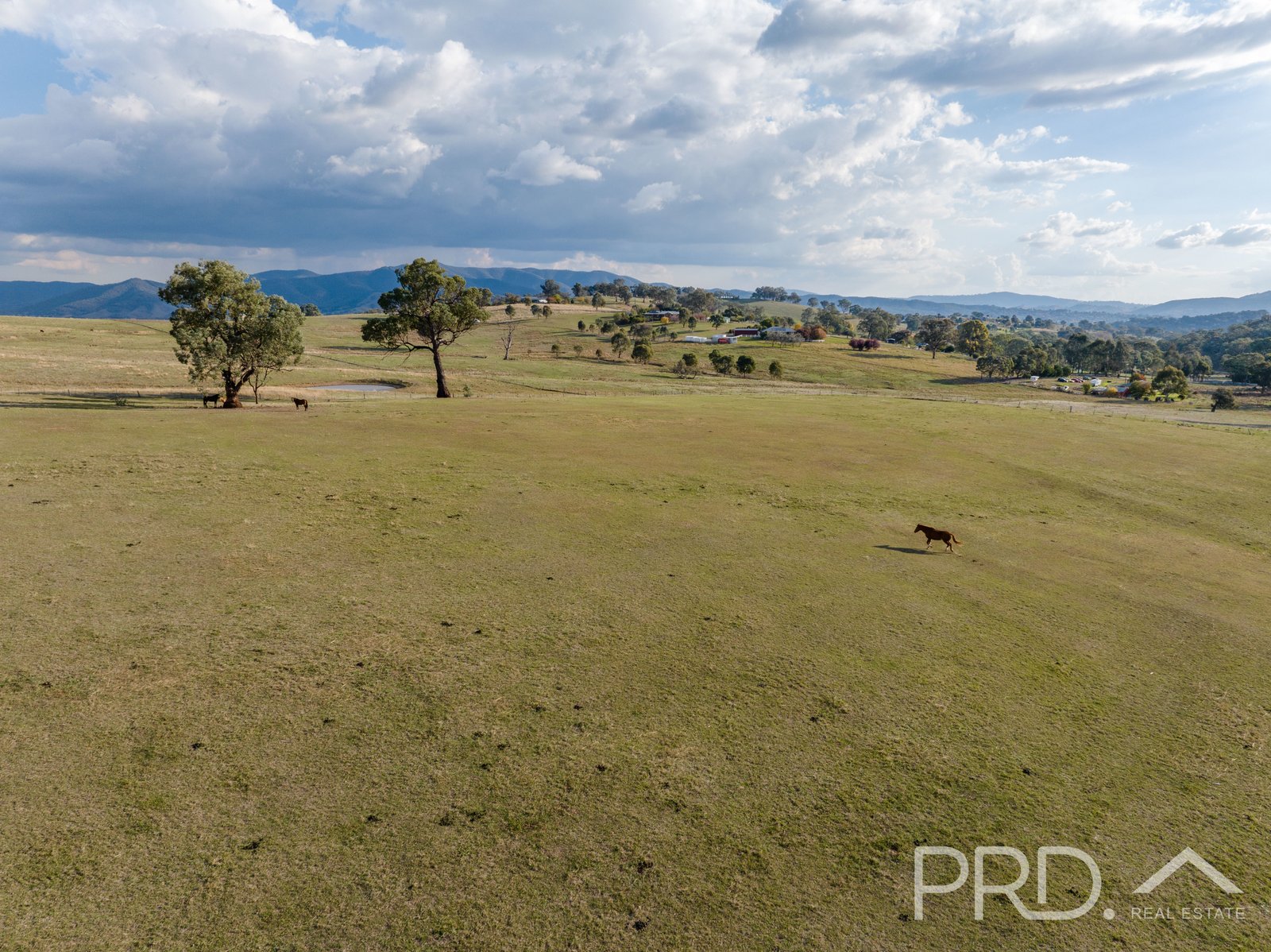 330 Morgans Reserve Road TUMUT 27
