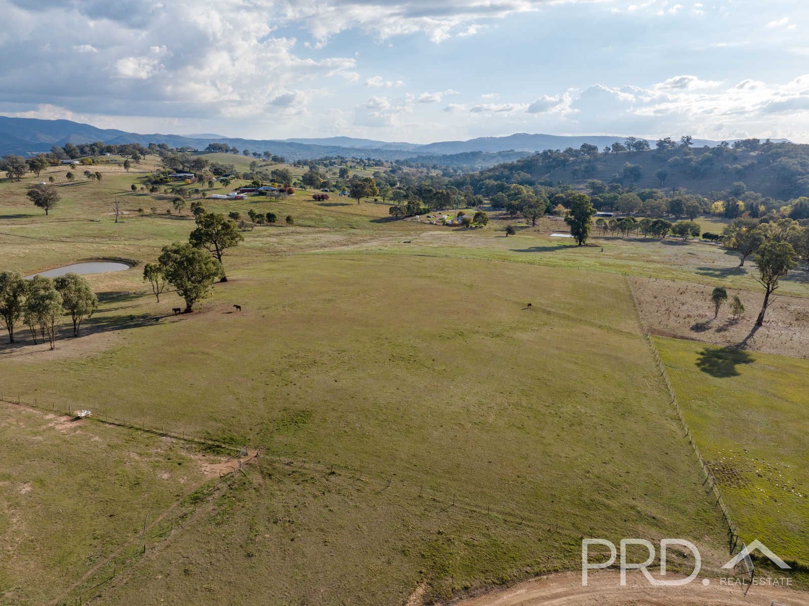 330 Morgans Reserve Road TUMUT 28