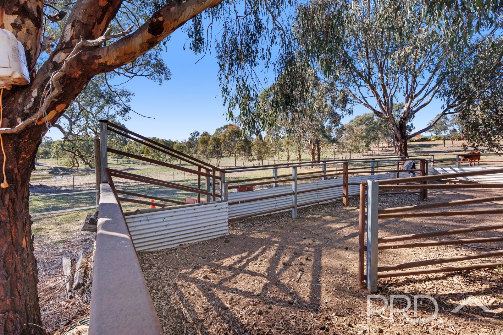330 Morgans Reserve Road TUMUT 25
