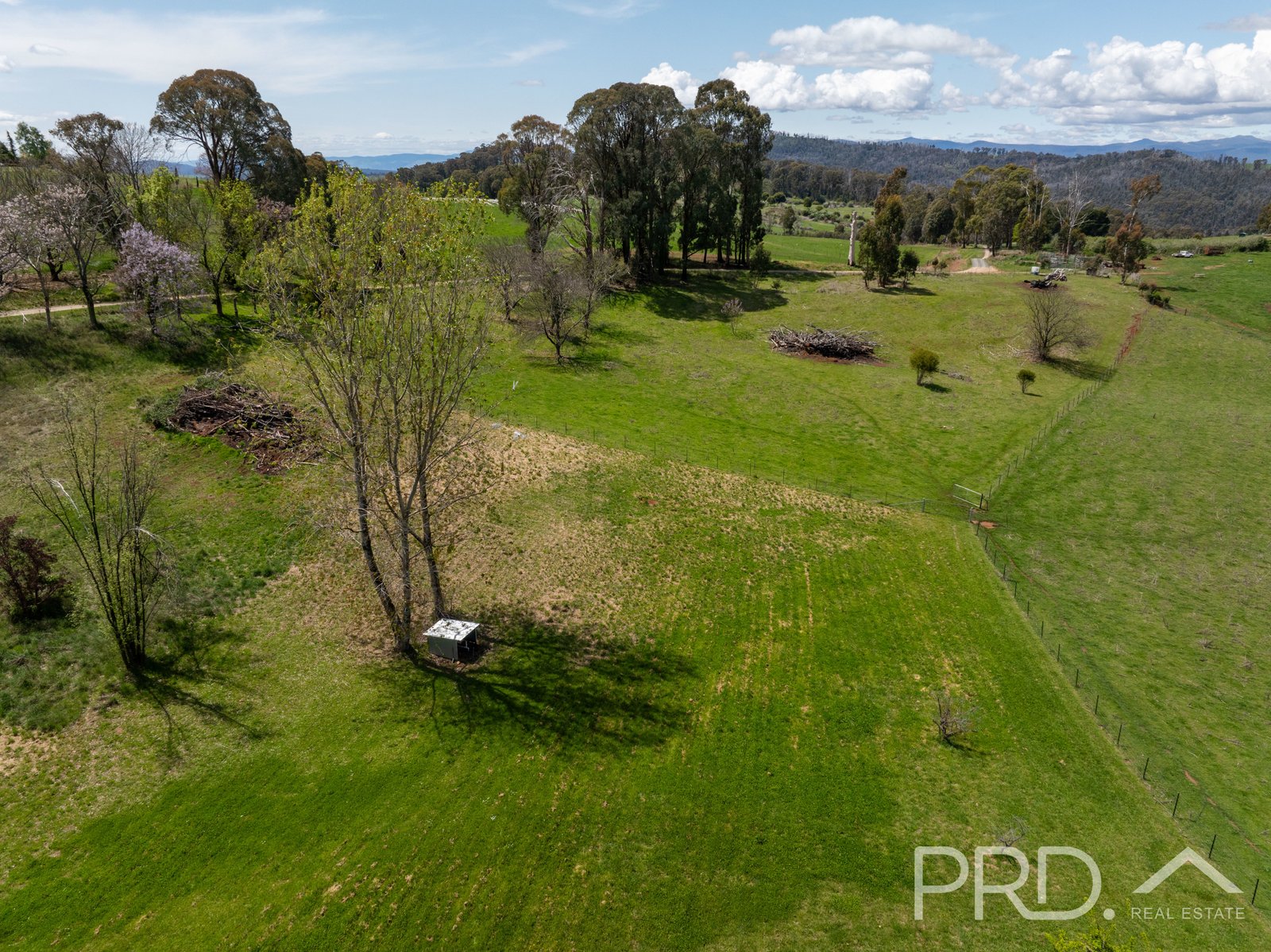 330 Old Tumbarumba Road BATLOW 21