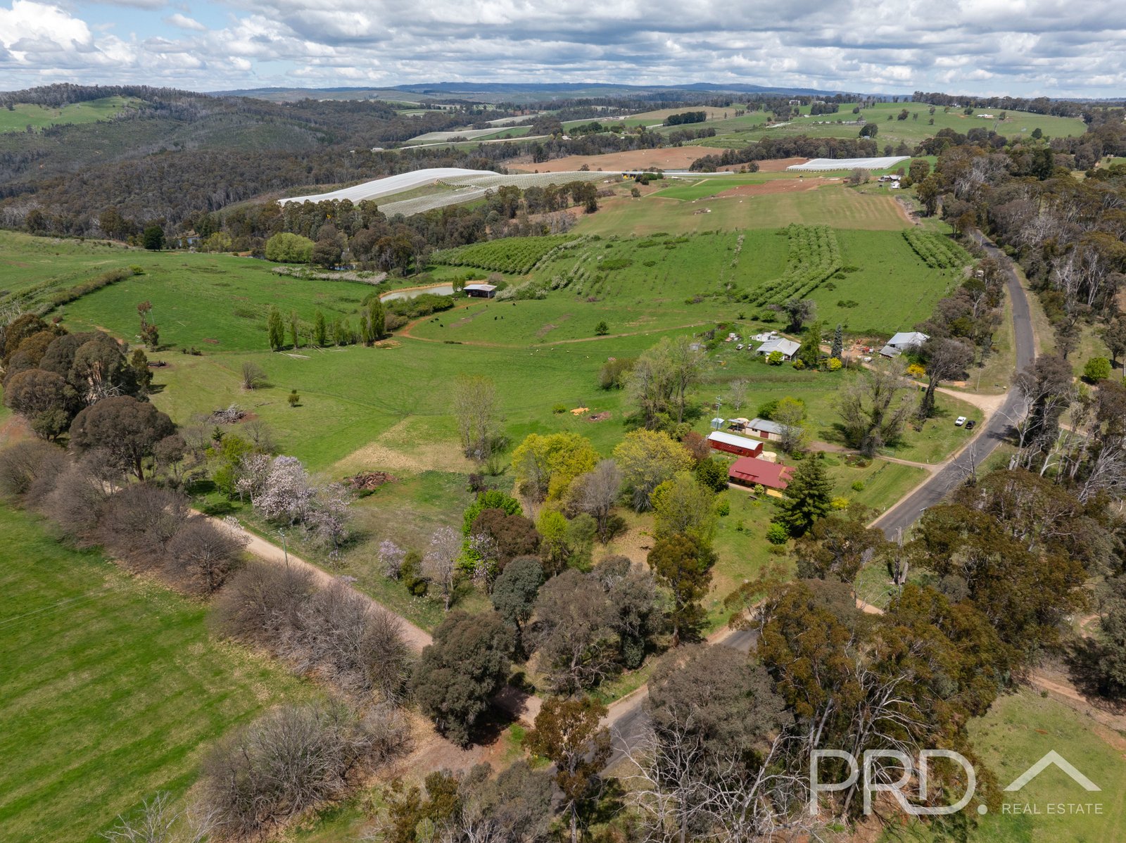330 Old Tumbarumba Road BATLOW 25