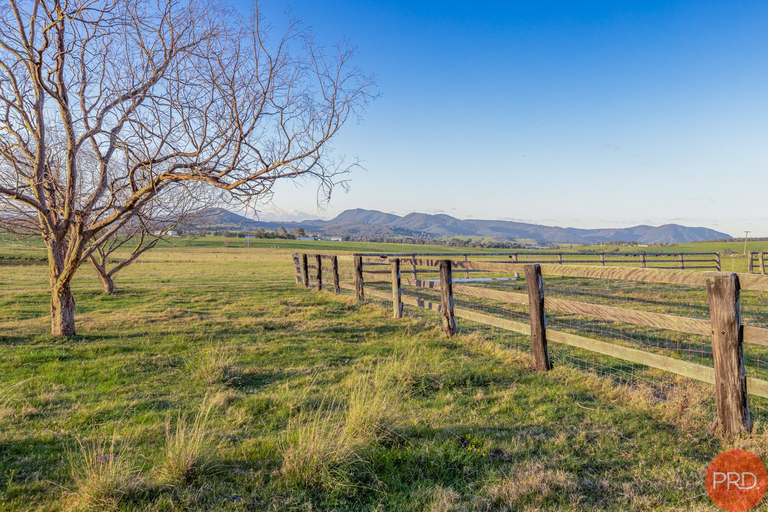 332 Standen Drive LOWER BELFORD 3
