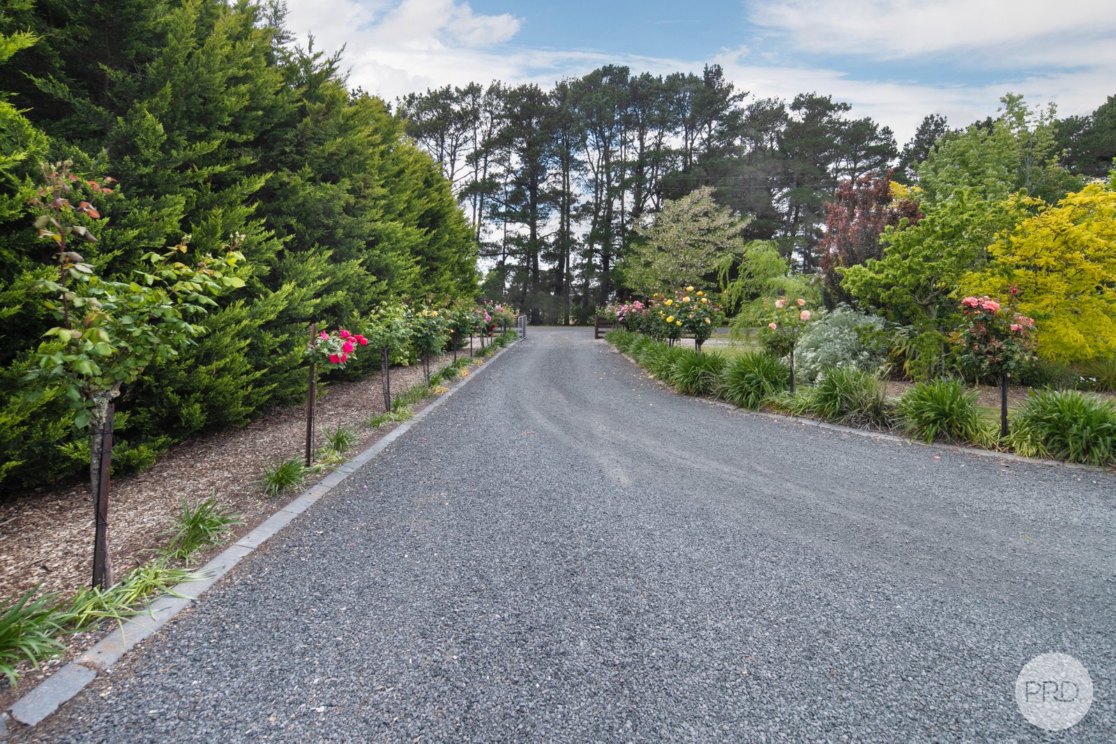 332 Wilsons Road HADDON 21