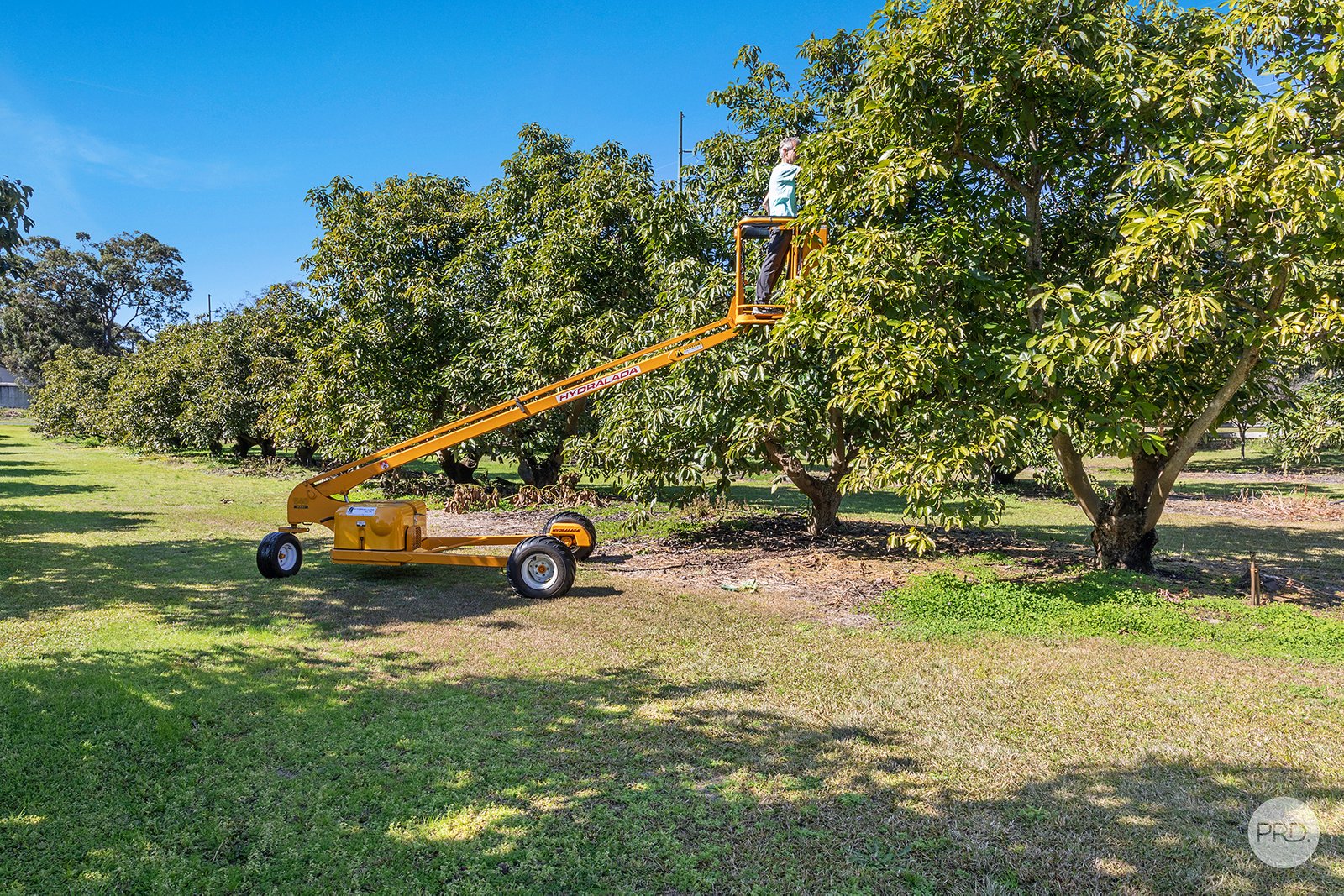 3327 Nelson Bay Rd  BOBS FARM 6