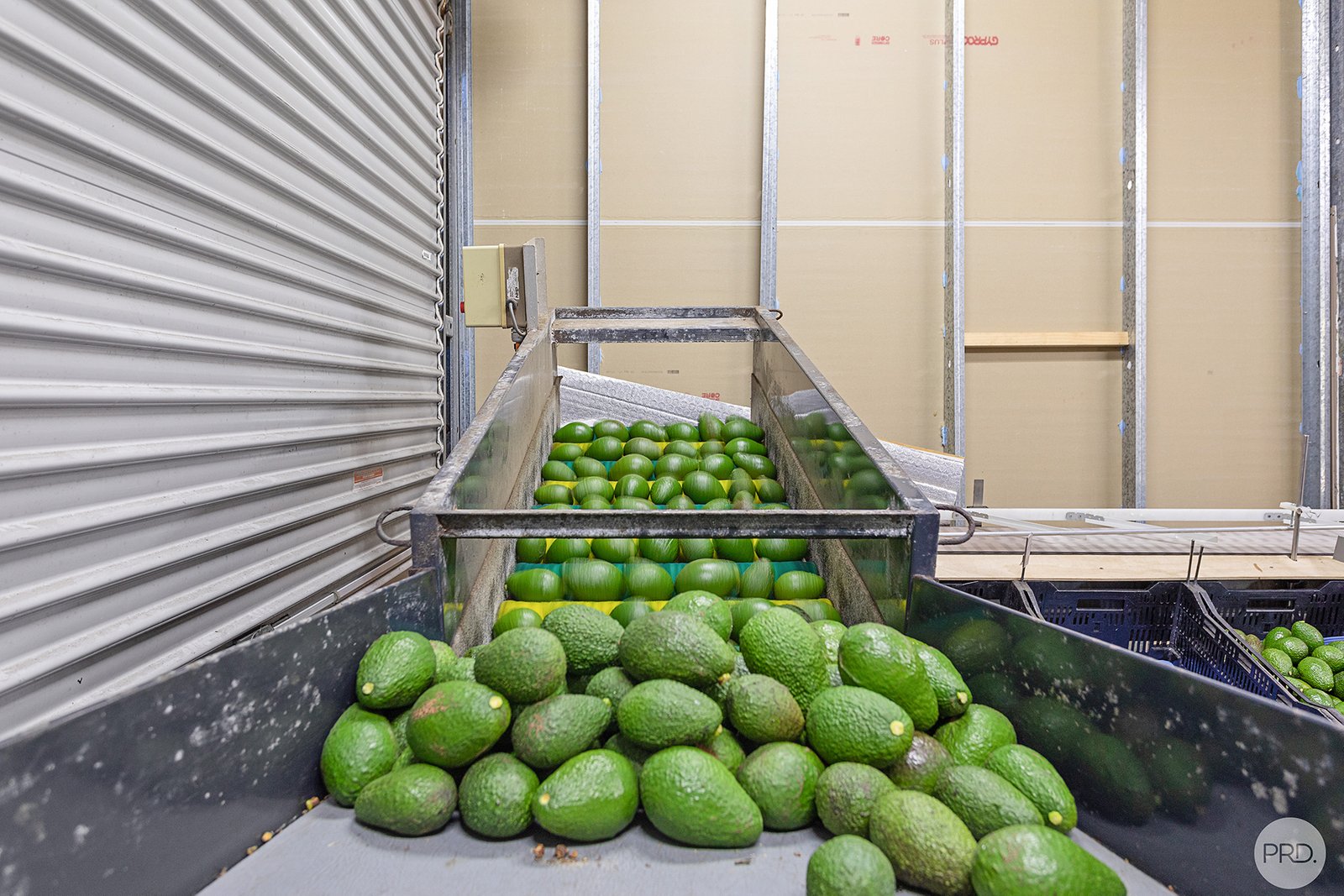 3327 Nelson Bay Rd  BOBS FARM 24