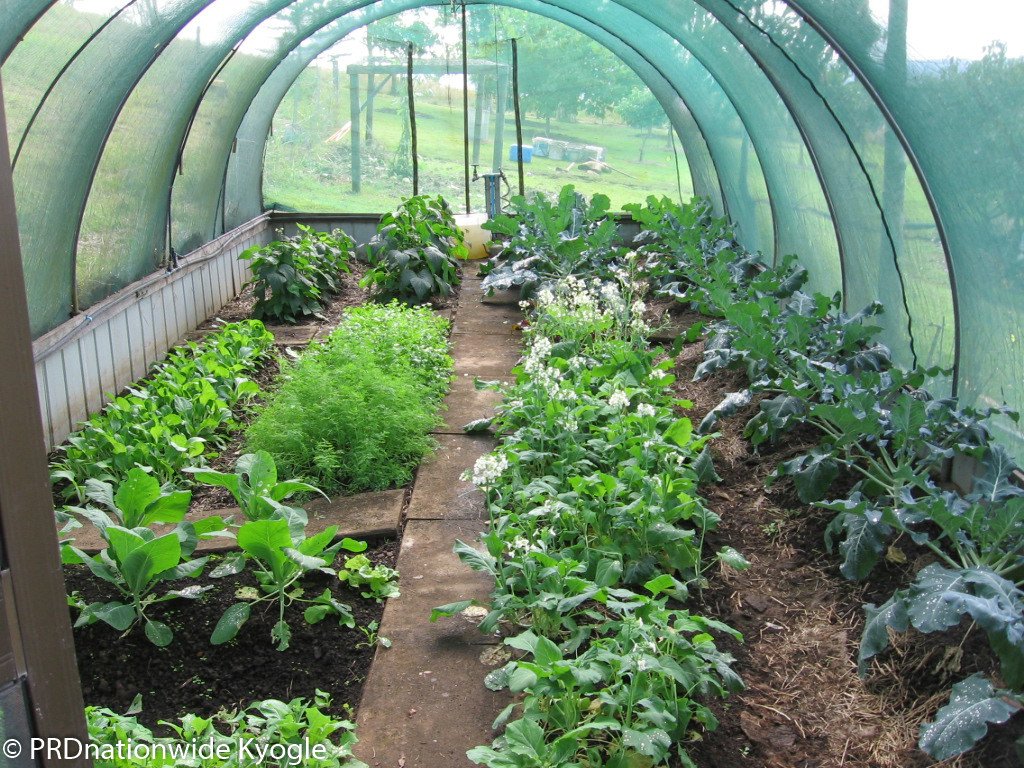 333 Upper Stratheden Road, Stratheden Via  KYOGLE 7