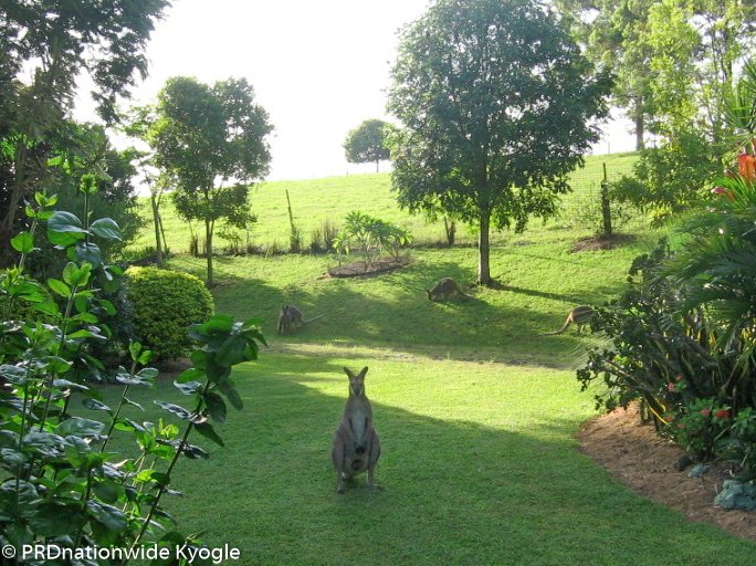 333 Upper Stratheden Road, Stratheden Via  KYOGLE 22