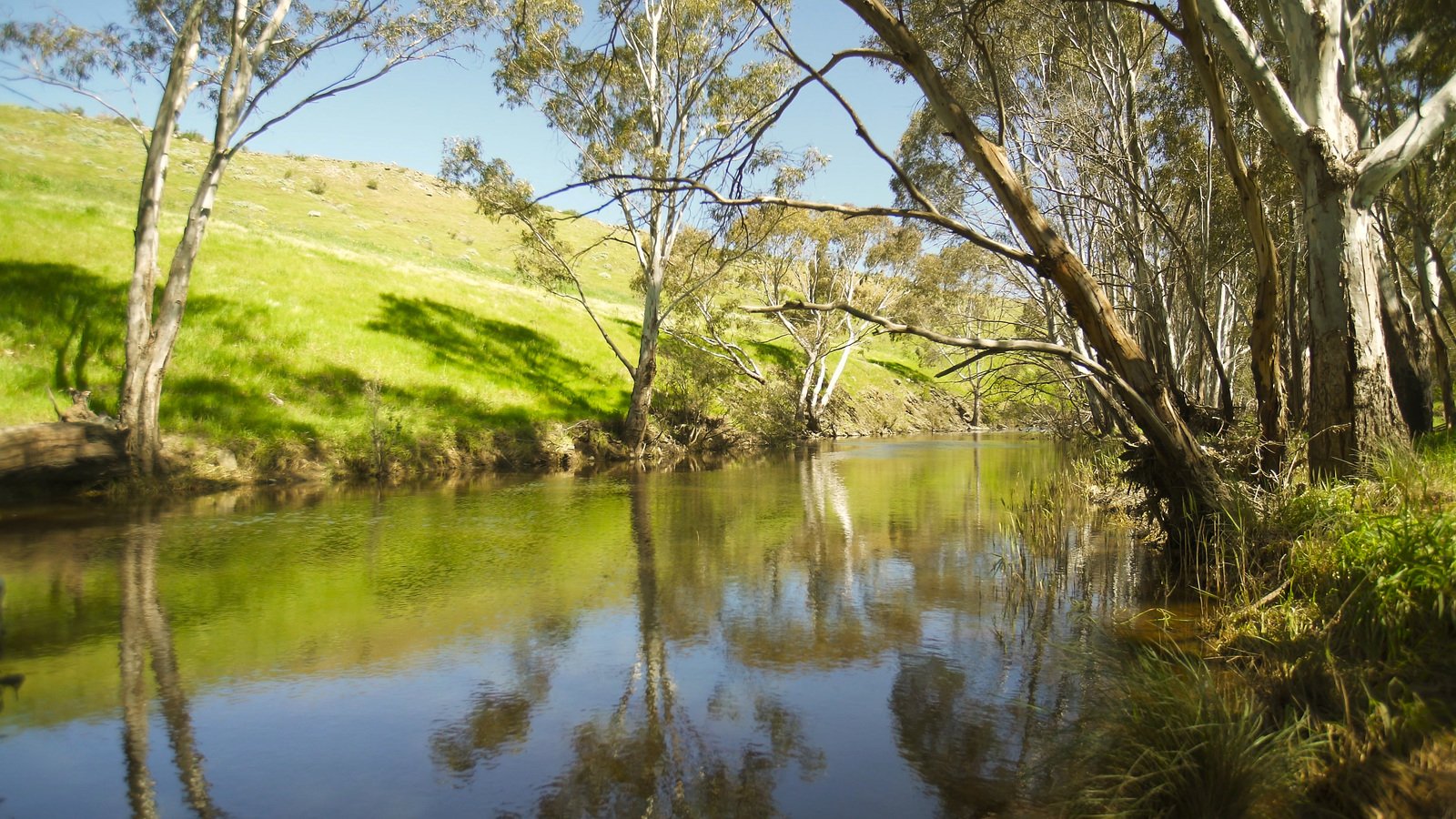 Real Estate and Property in 3330 Romsey Road, Chintin, VIC