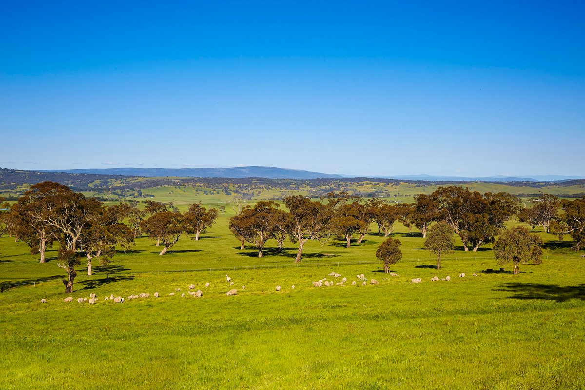 Real Estate and Property in 3330 Romsey Road, Chintin, VIC