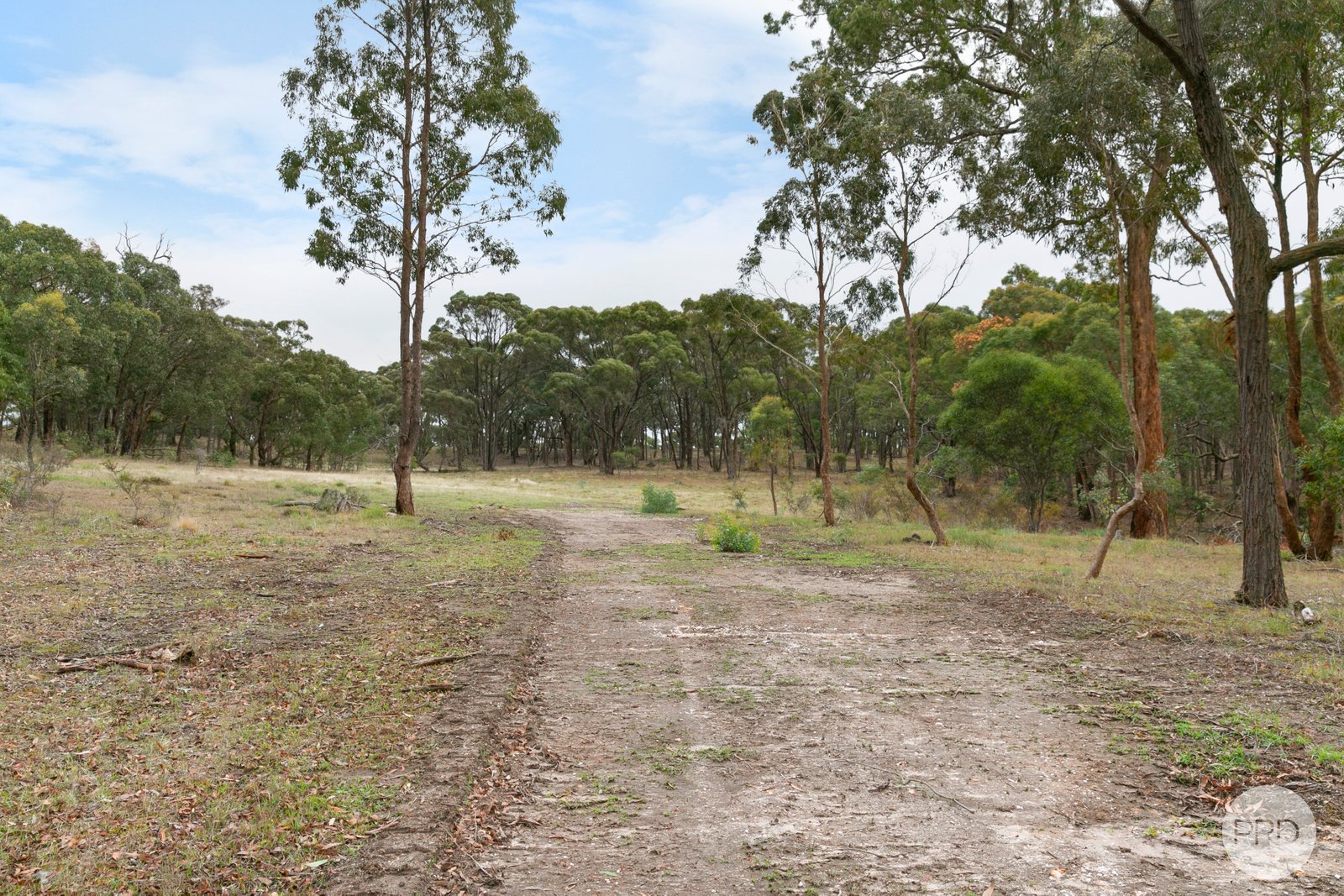 334 Old Shirley Road BEAUFORT 1