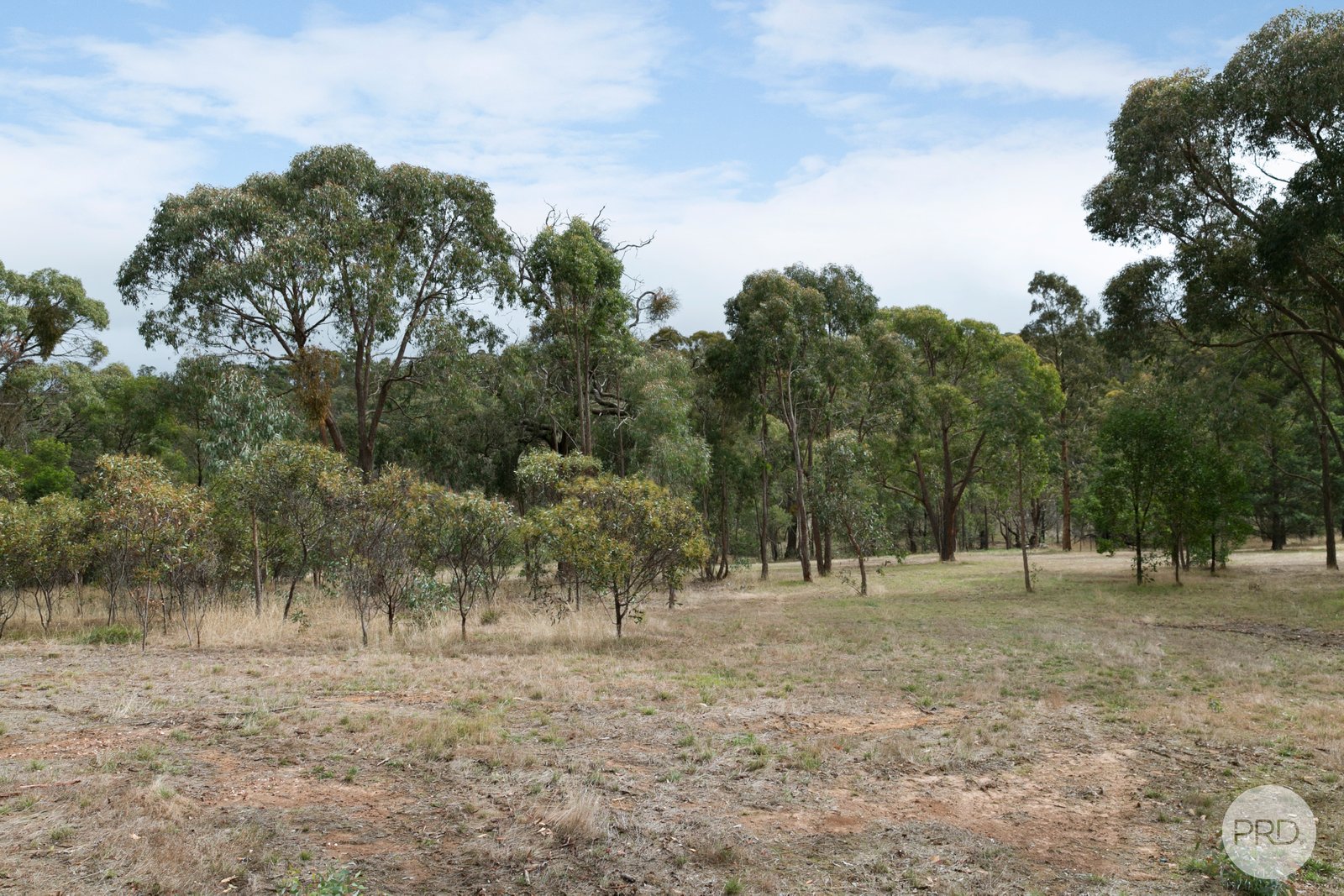 334 Old Shirley Road BEAUFORT 2