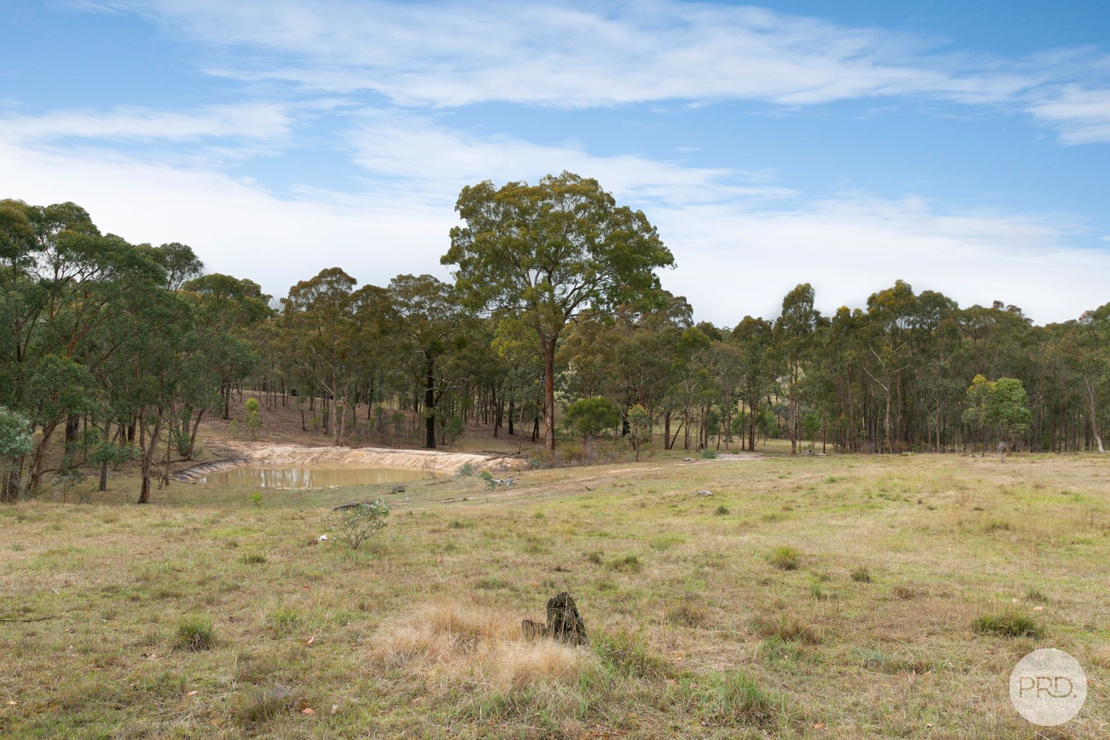 334 Old Shirley Road BEAUFORT 5