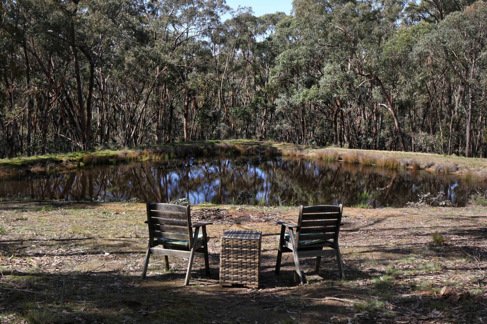 Real Estate and Property in 334 Scobles Road, Drummond, VIC