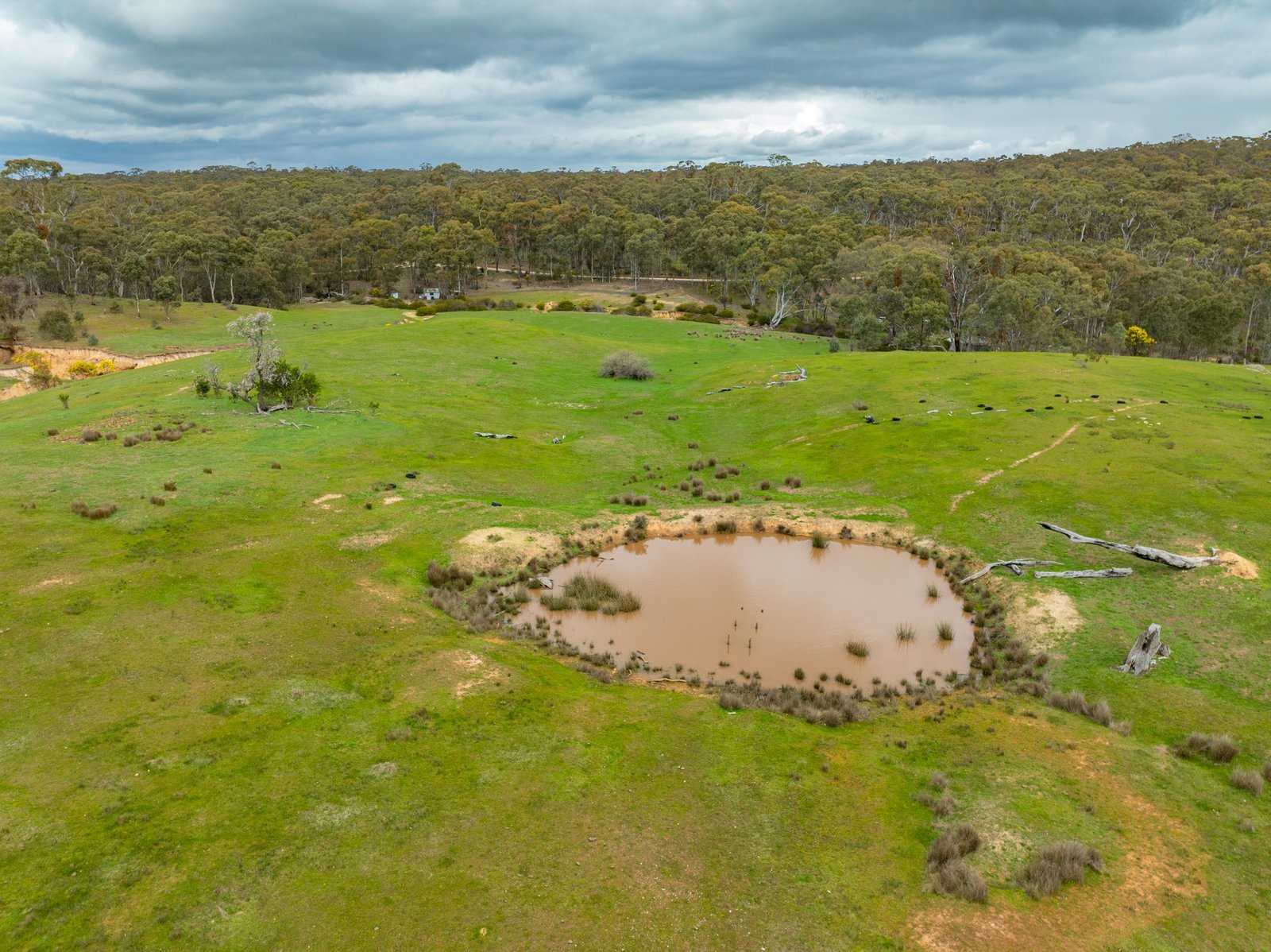 Gallery: 335 Fells Gully Road