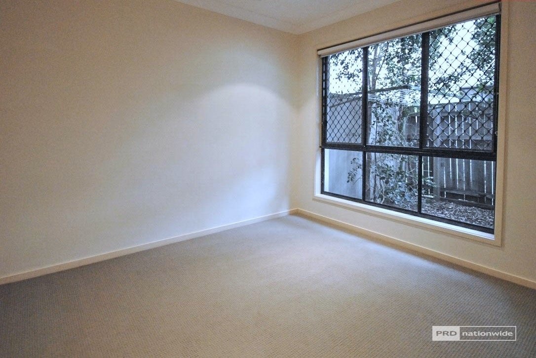 3/35 Harley Street LABRADOR 11