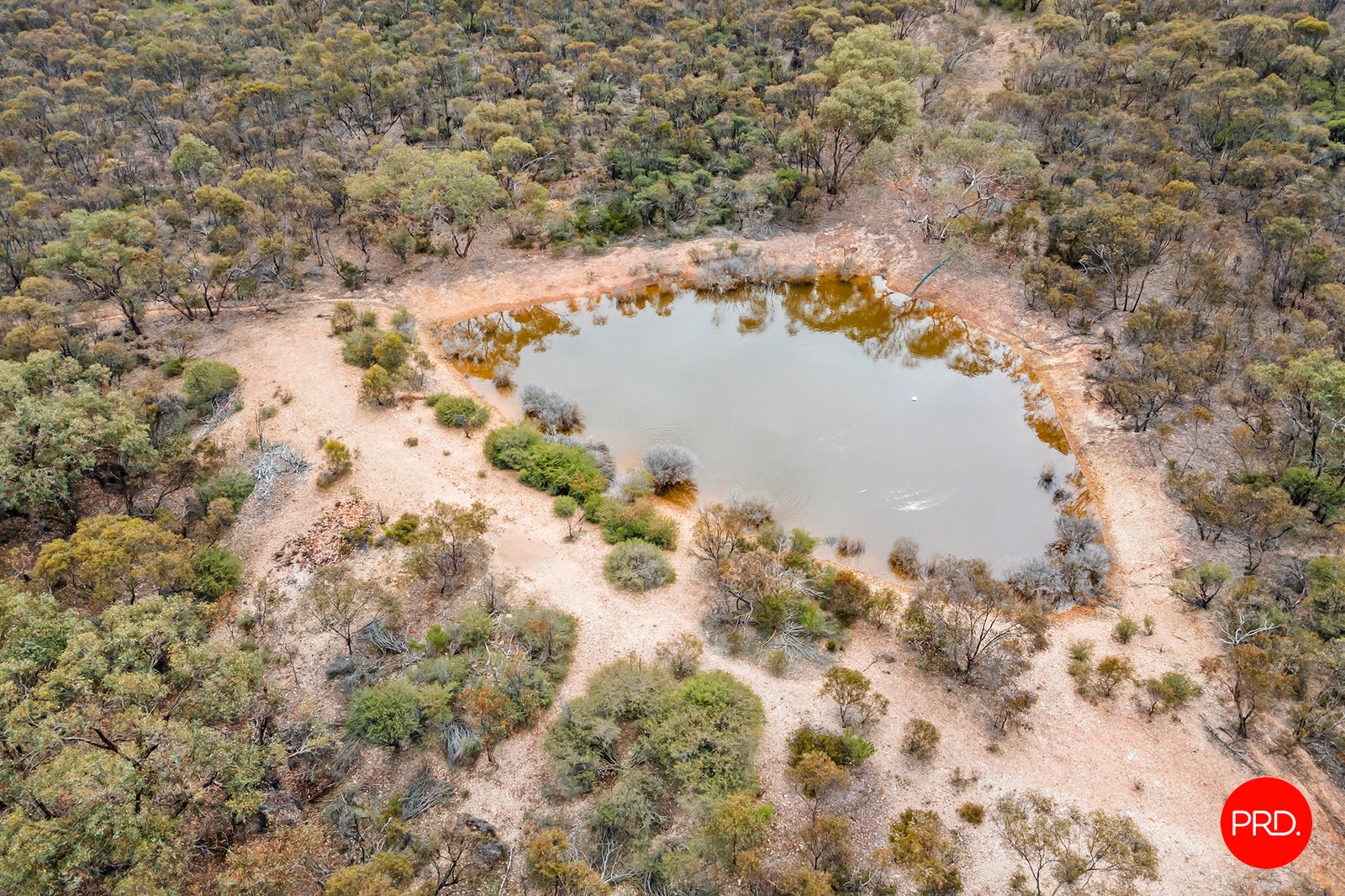 335 Myers Flat Road MYERS FLAT 2