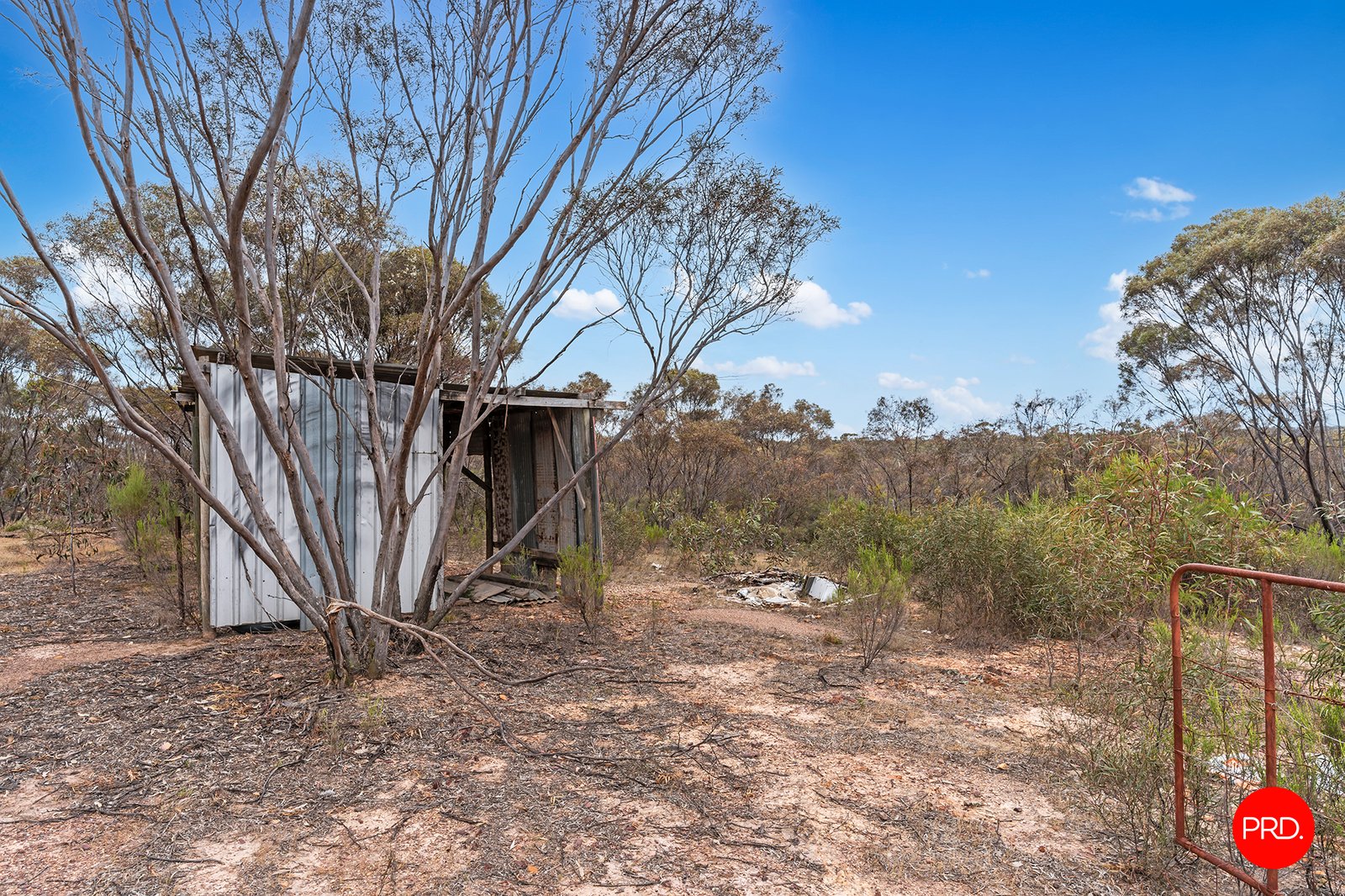 335 Myers Flat Road MYERS FLAT 16