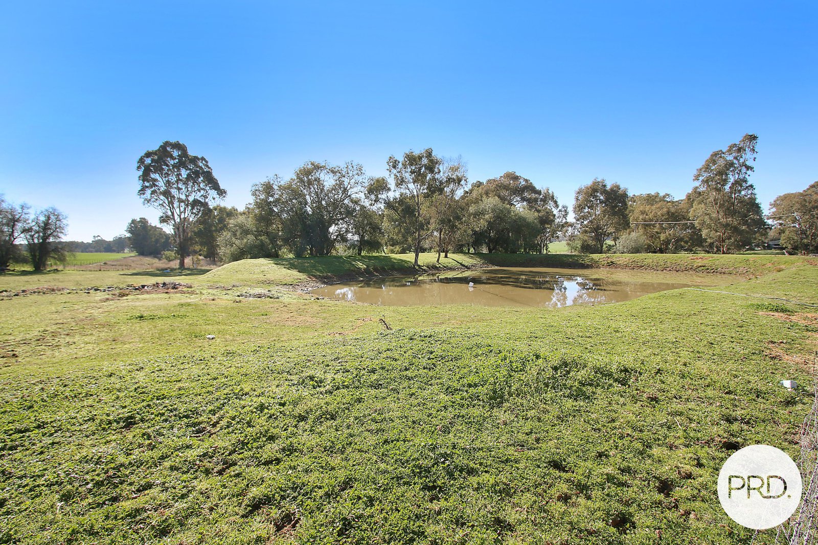 3354 Urana Road BURRUMBUTTOCK 18