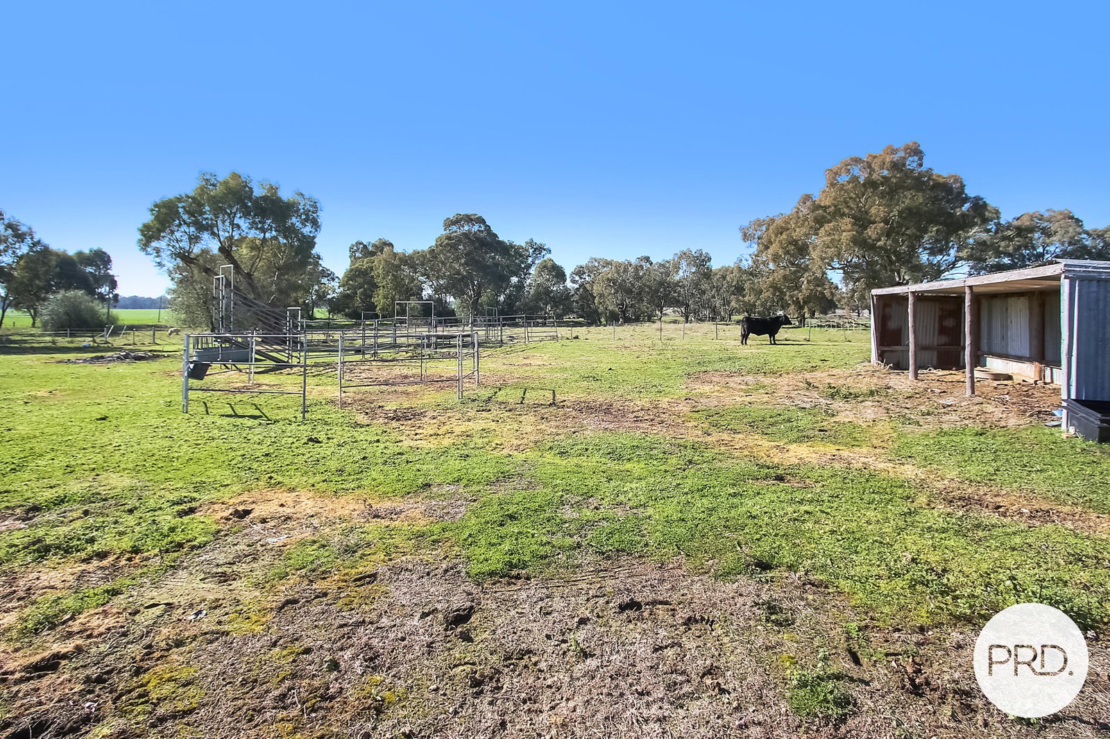 3354 Urana Road BURRUMBUTTOCK 19