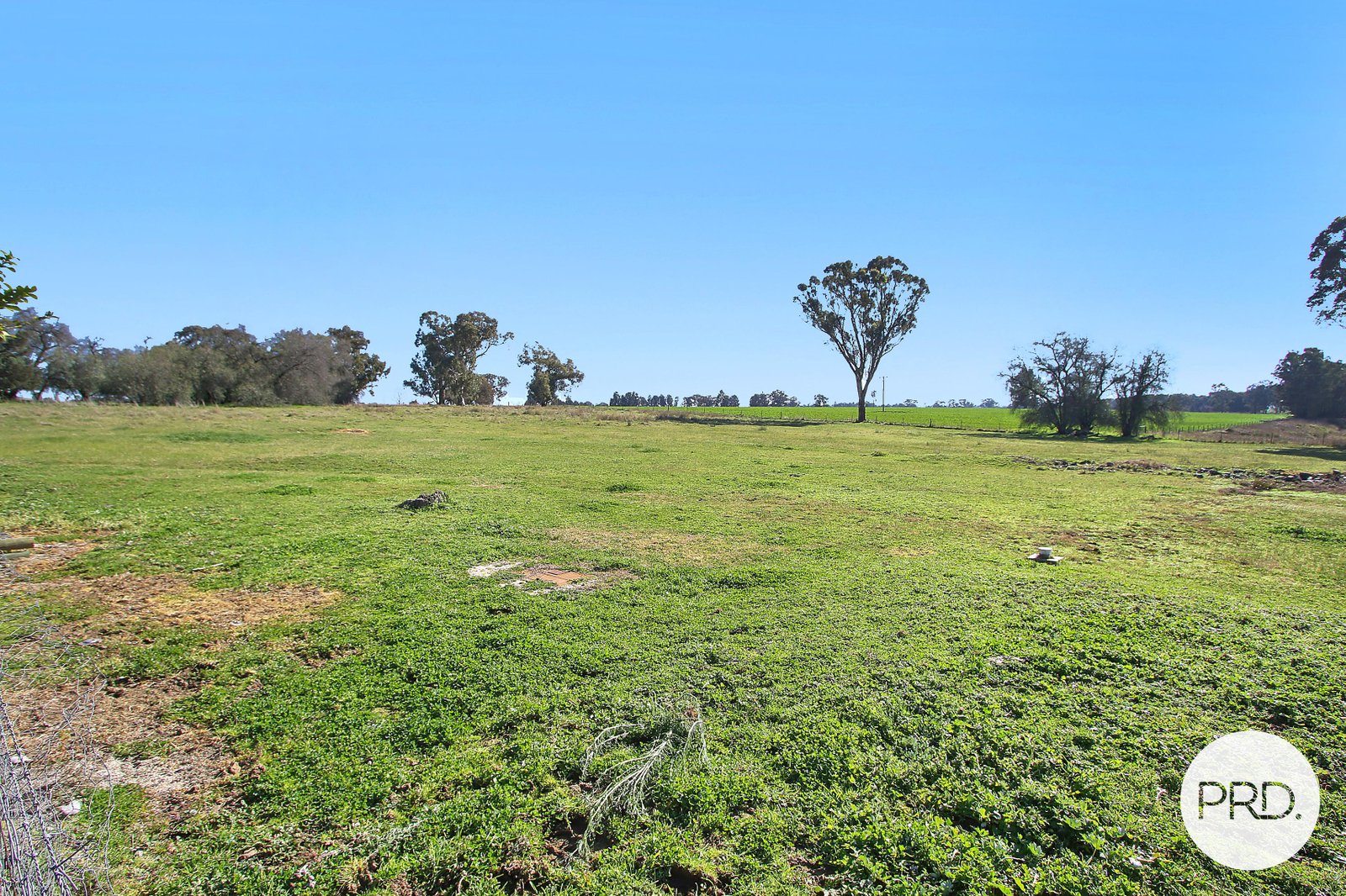 3354 Urana Road BURRUMBUTTOCK 20