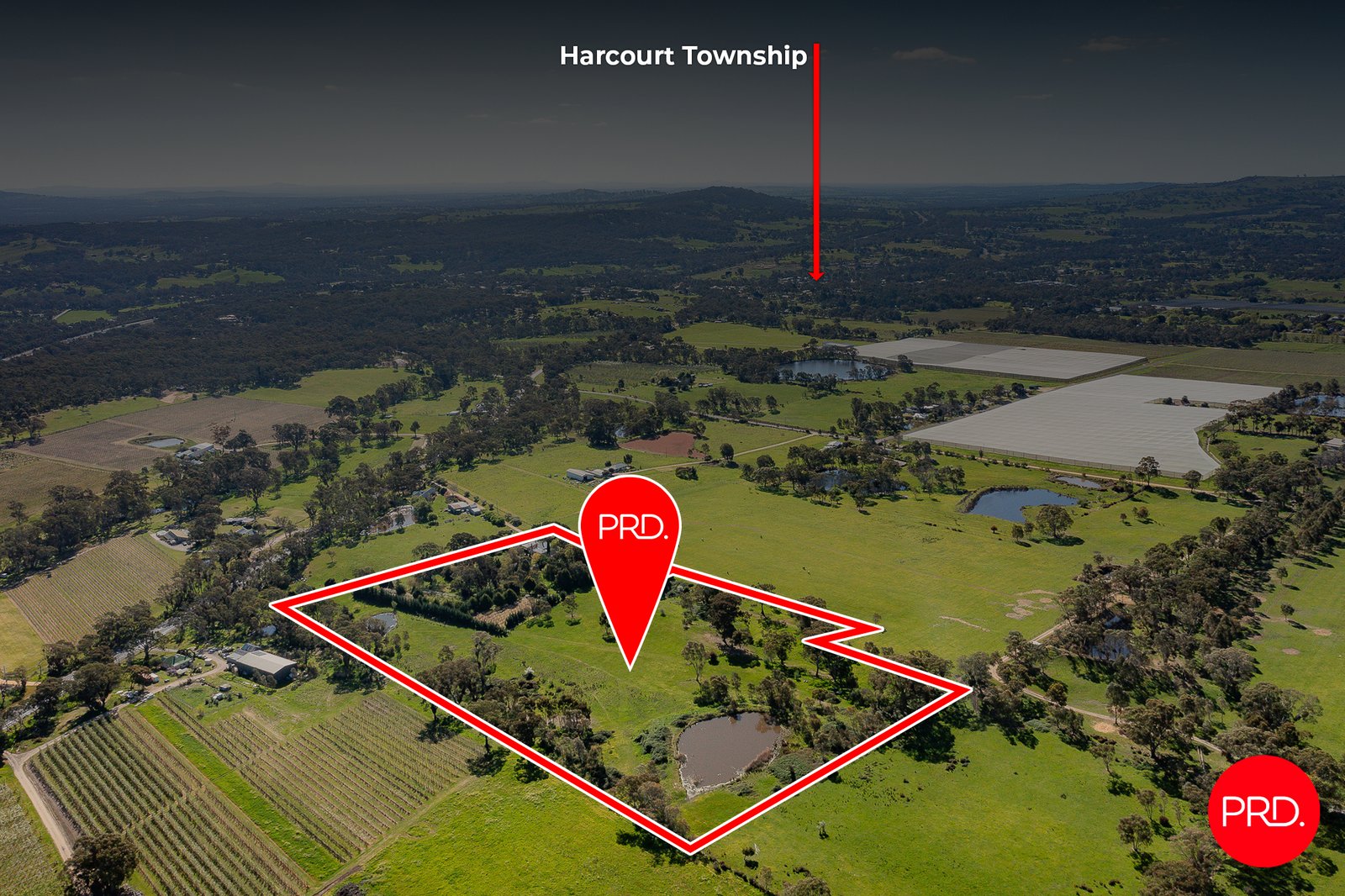 3358 Harmony Way HARCOURT 2