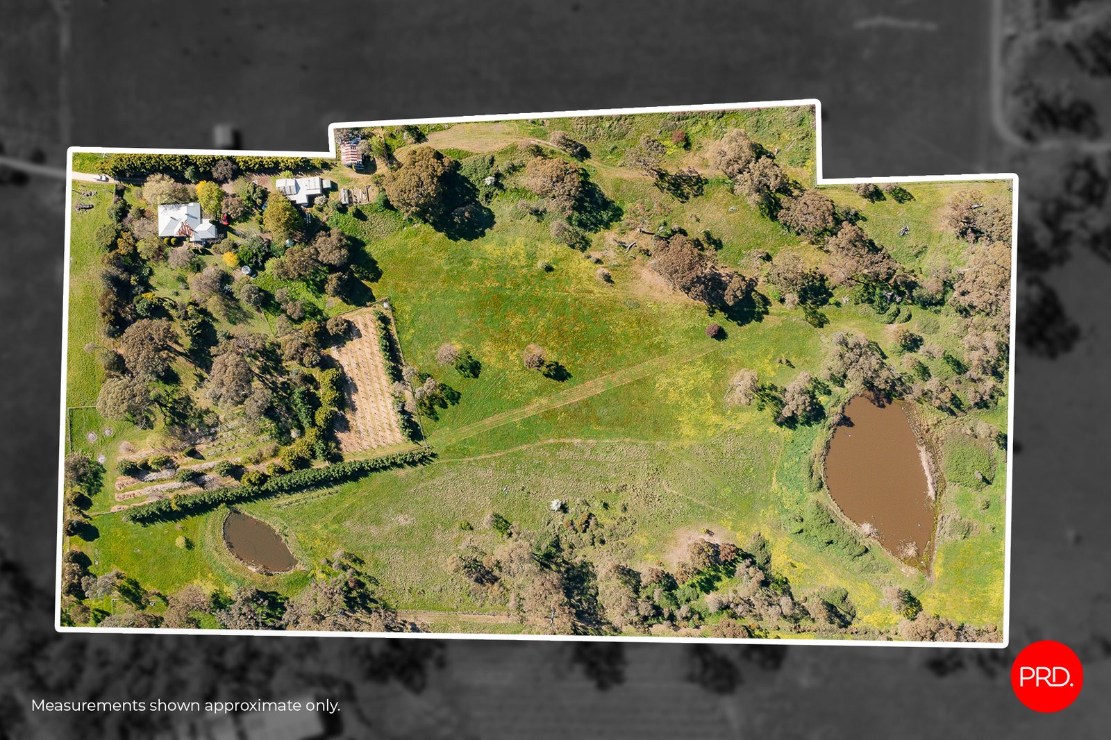 3358 Harmony Way HARCOURT 3
