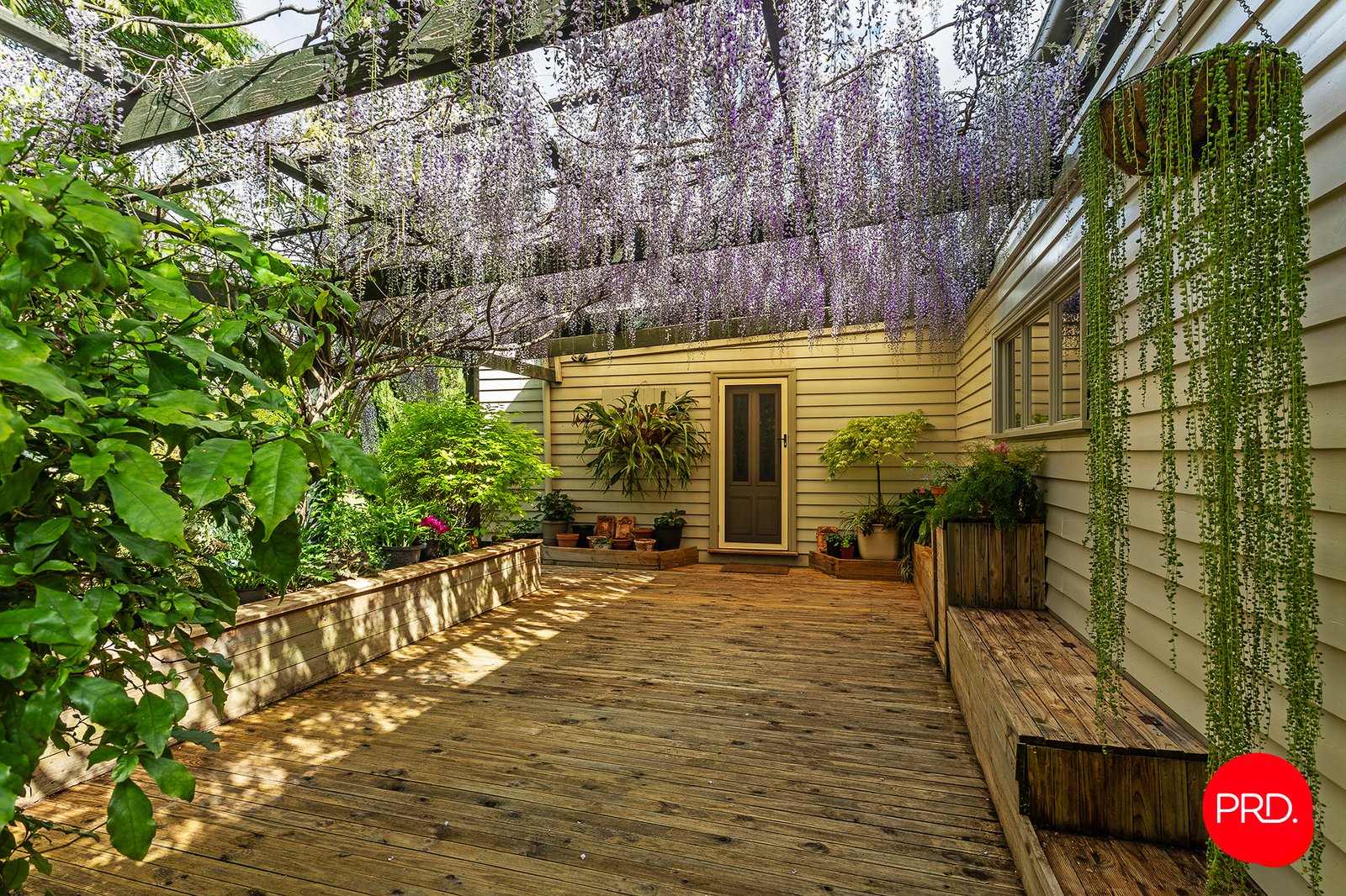 3358 Harmony Way HARCOURT 23