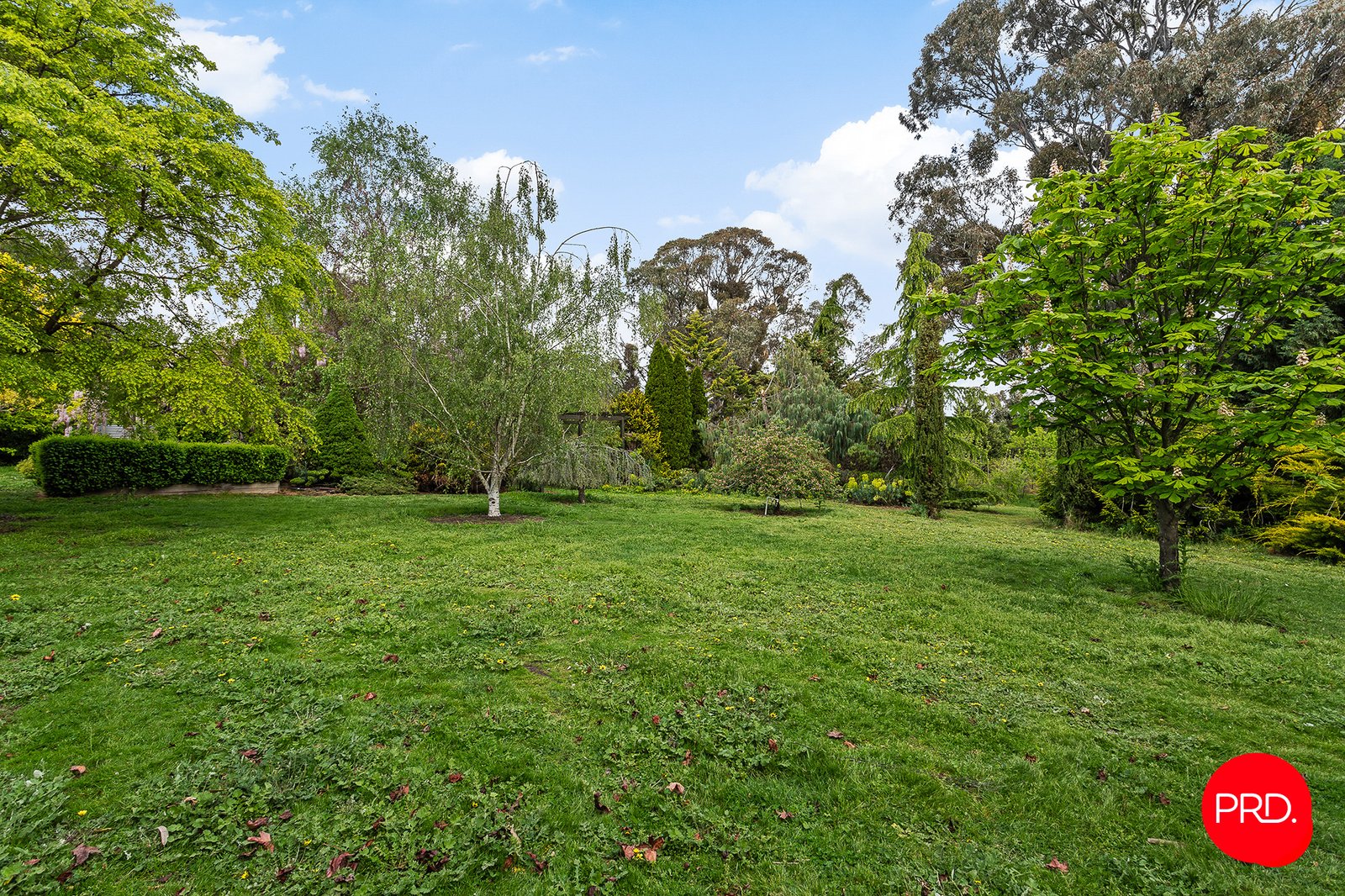 3358 Harmony Way HARCOURT 25