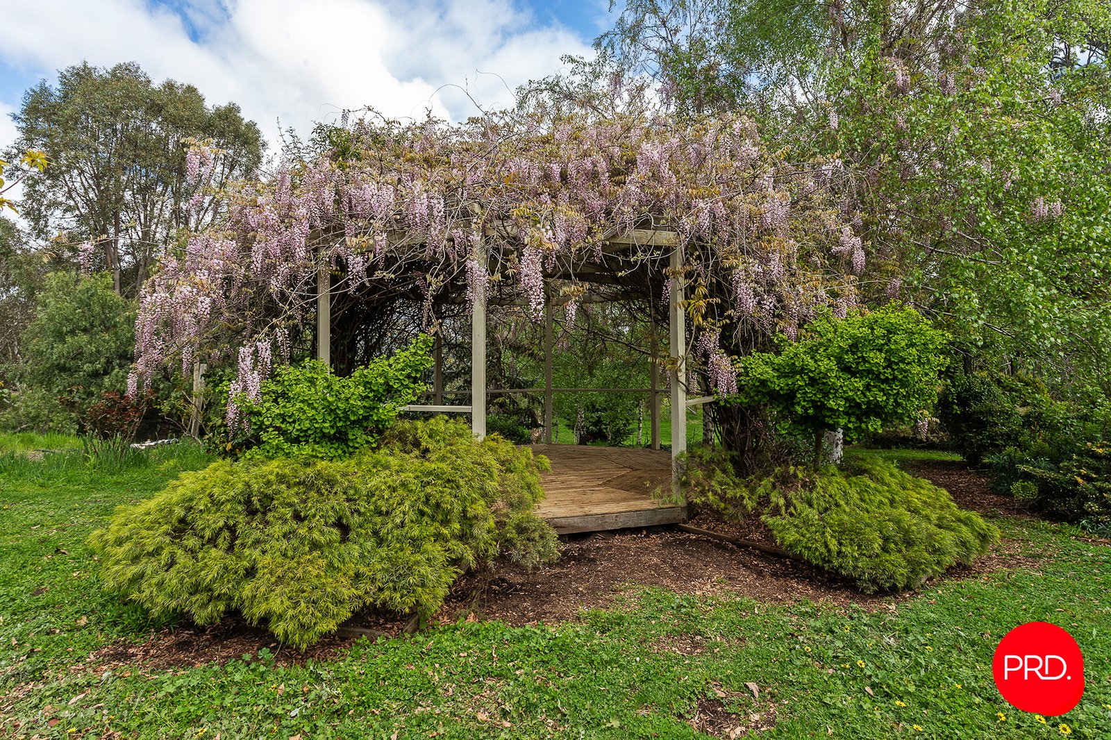 3358 Harmony Way HARCOURT 26