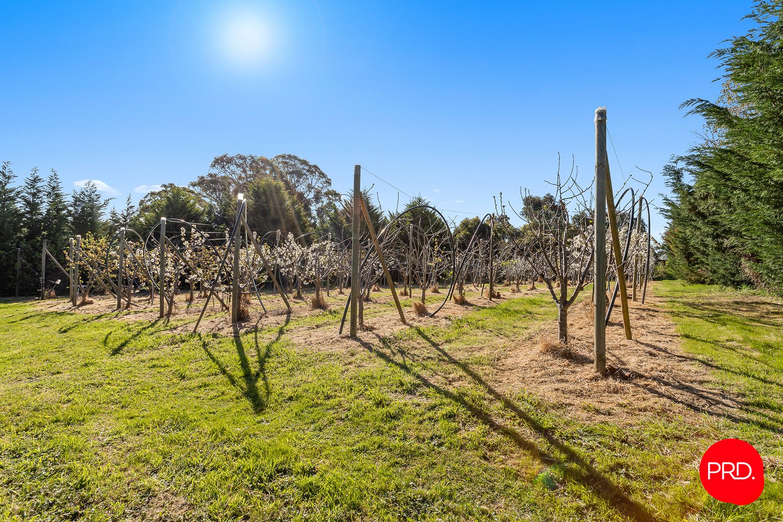 3358 Harmony Way HARCOURT 28