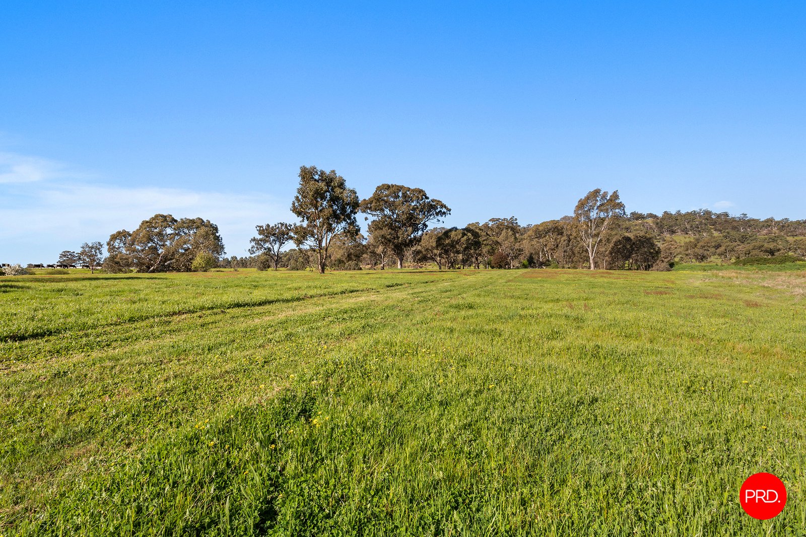 3358 Harmony Way HARCOURT 29